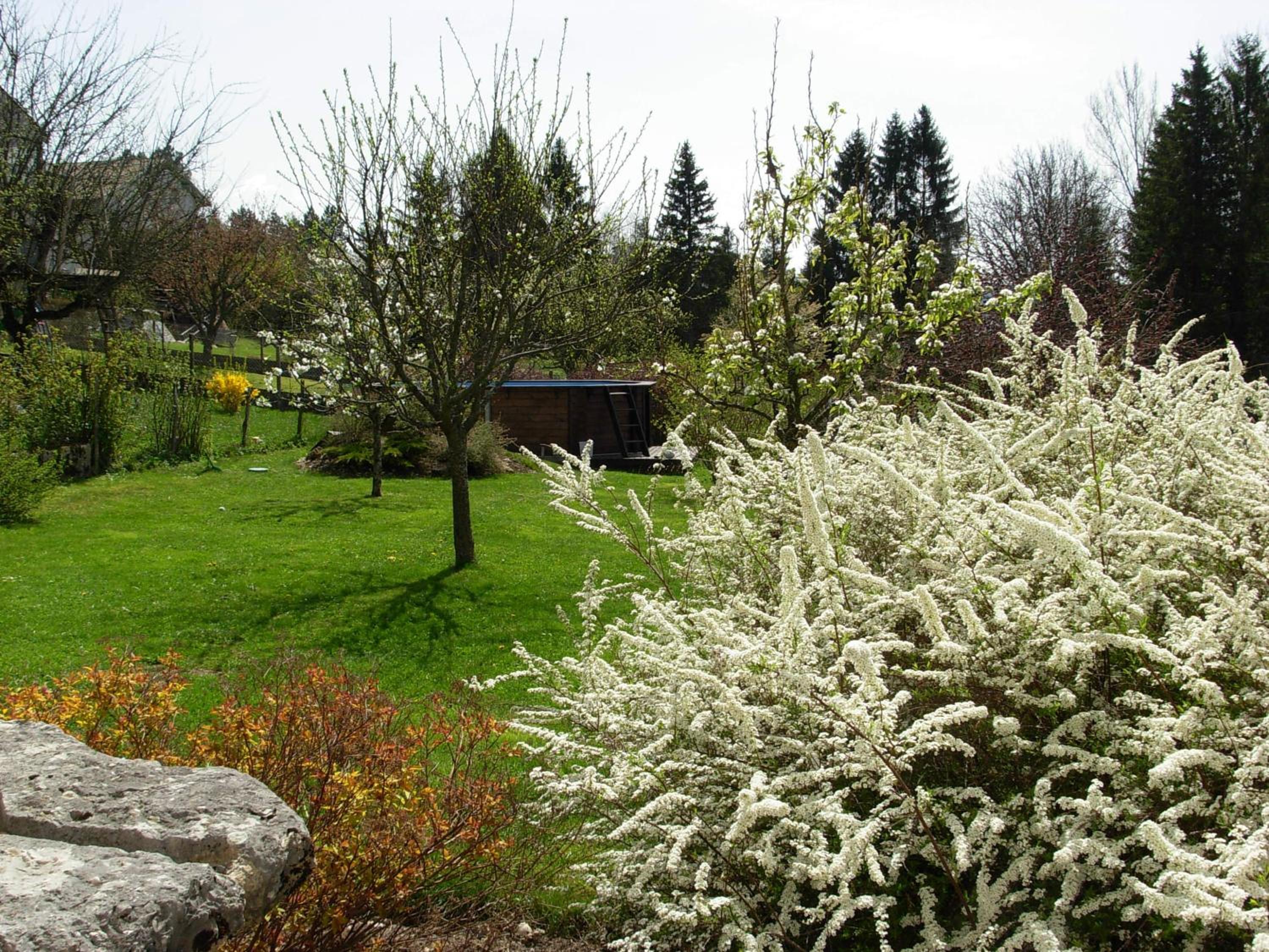 Queen Room with Garden View photo 2