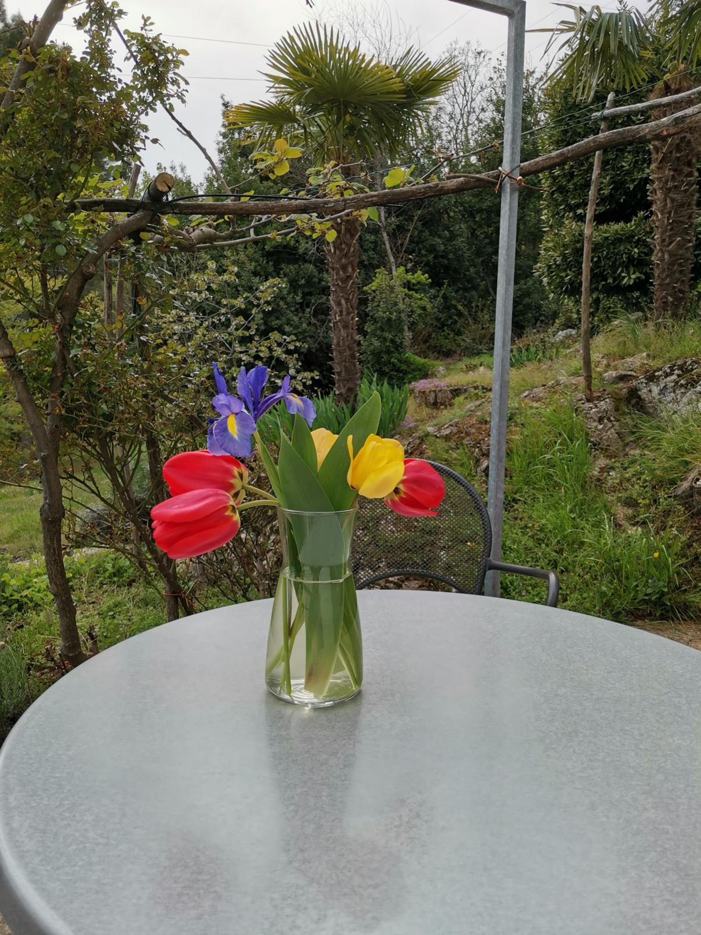 Apartment with Garden View photo 3