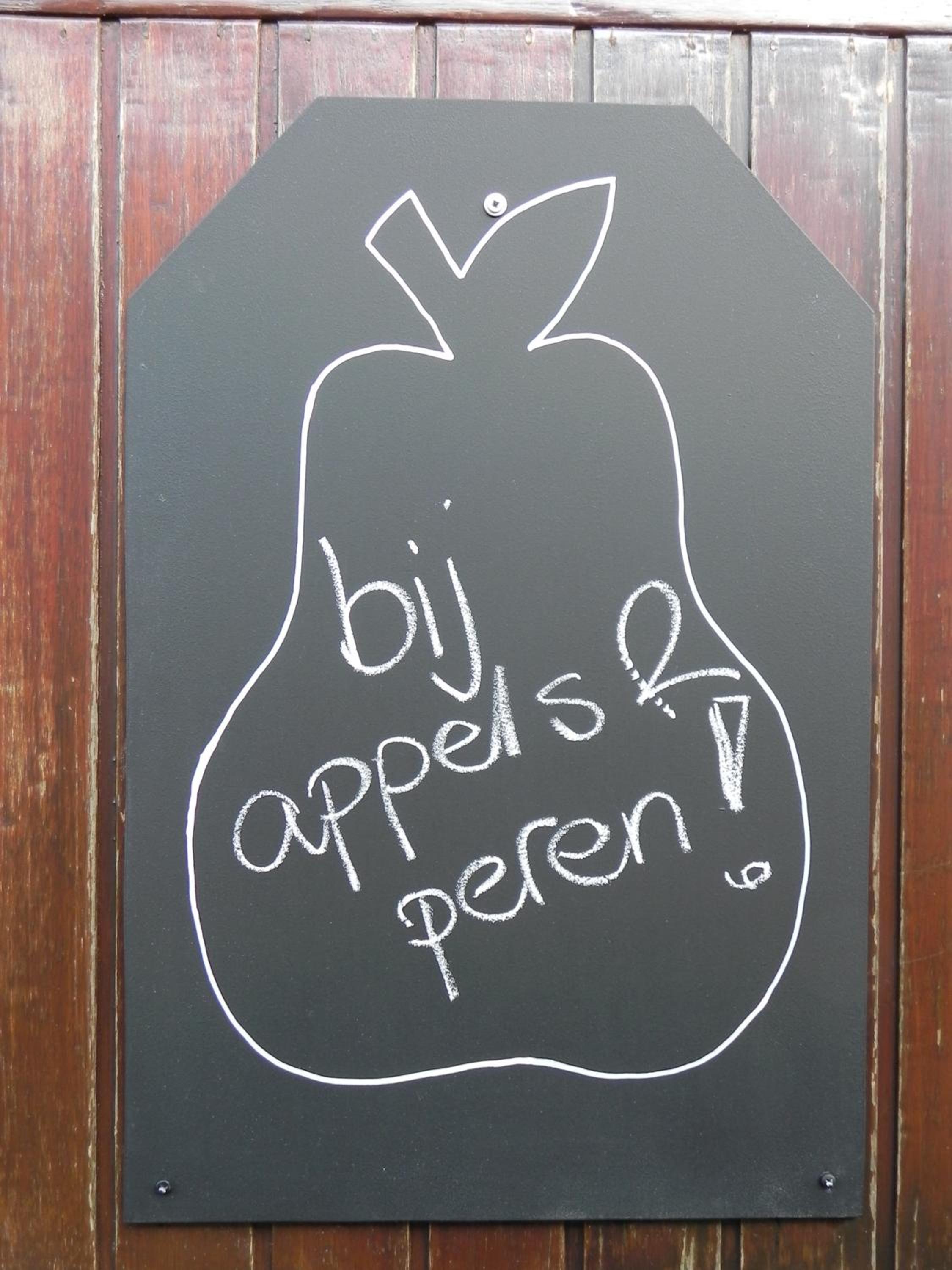 Peren photo 3