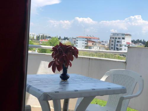 Quadruple Room with Terrace