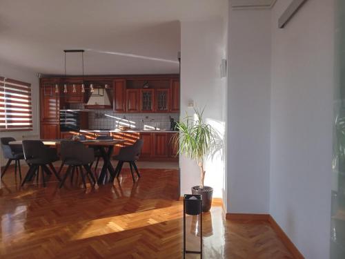 Penthouse Apartment