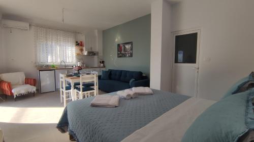 Duplex Studio