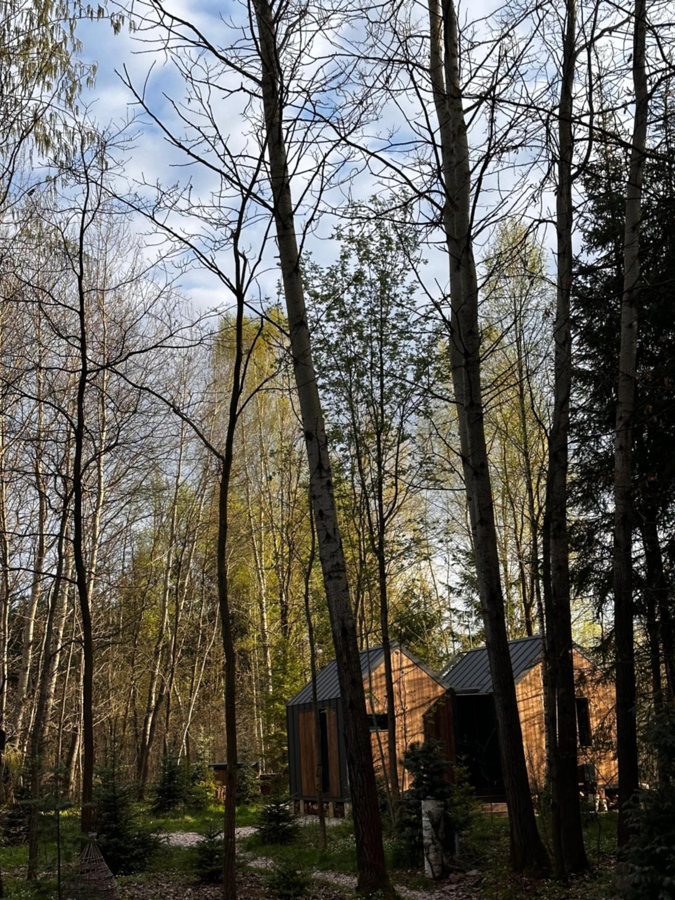 Superior Villa photo 3