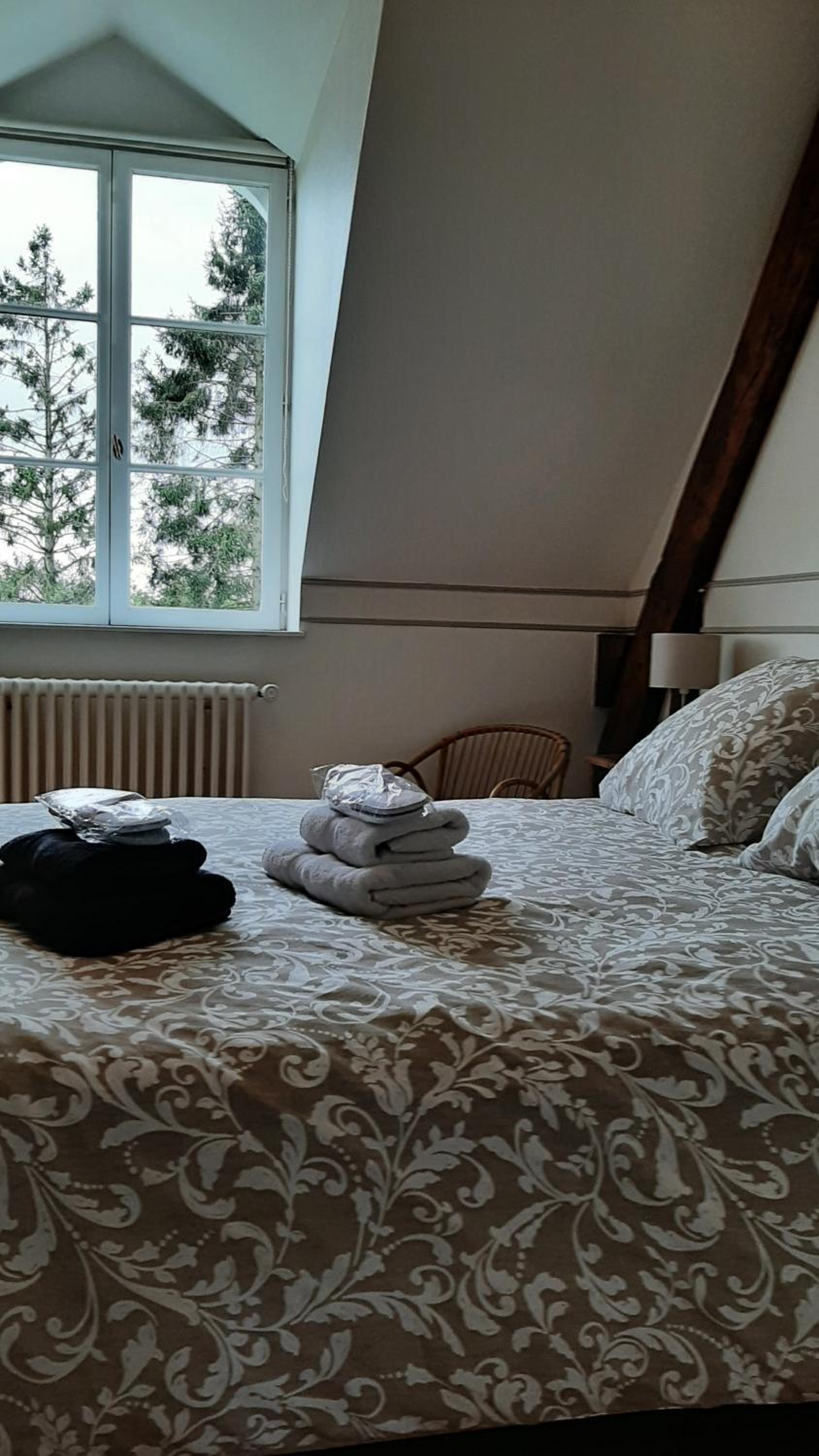 Family Suite - Photo 12