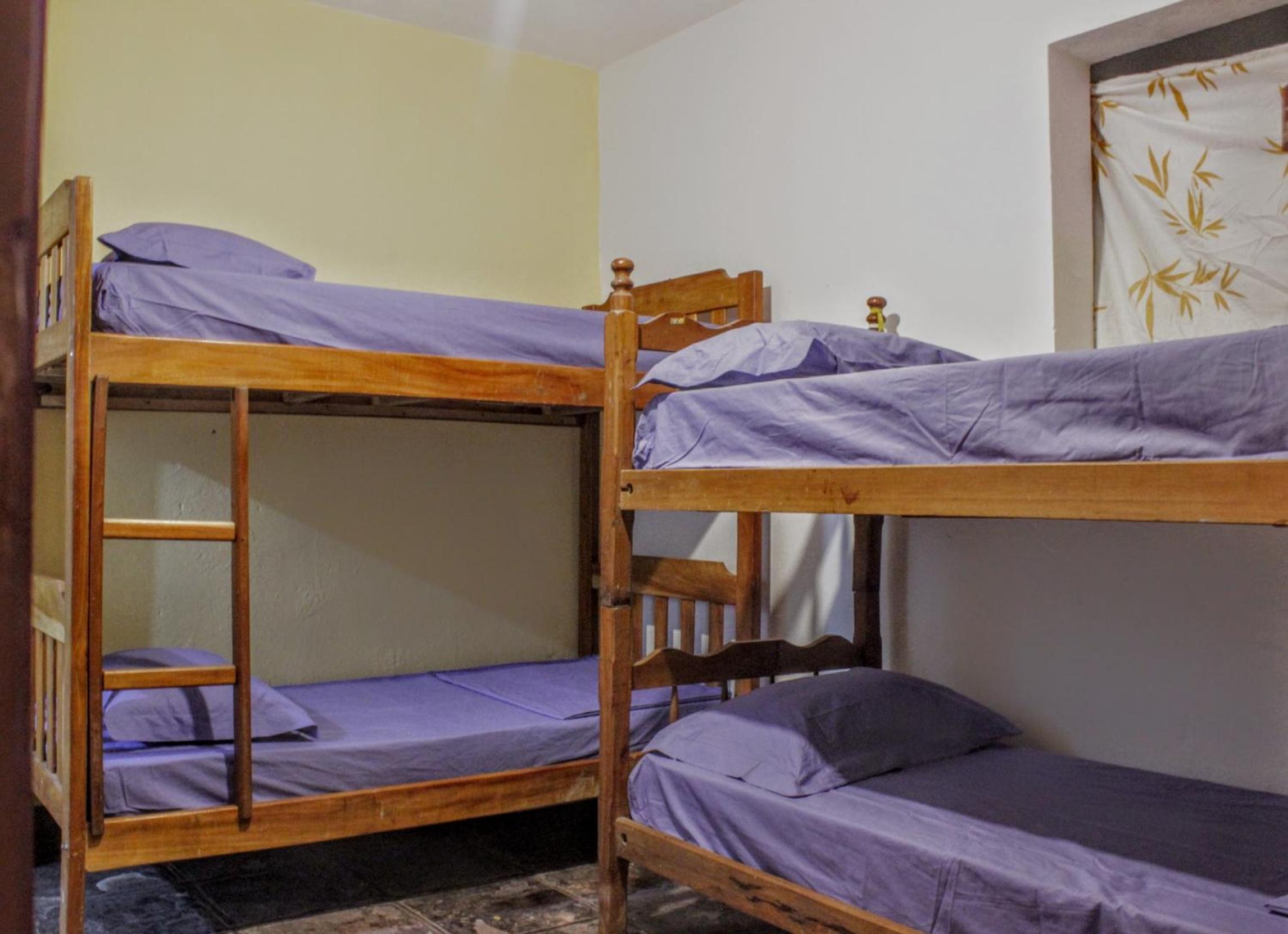 Bunk Bed in Mixed Dormitory Room