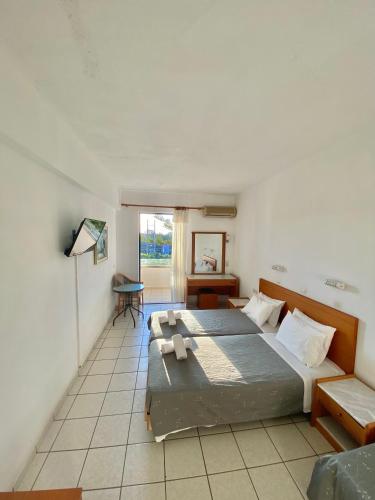 Studio (3 Adults) - Photo 1