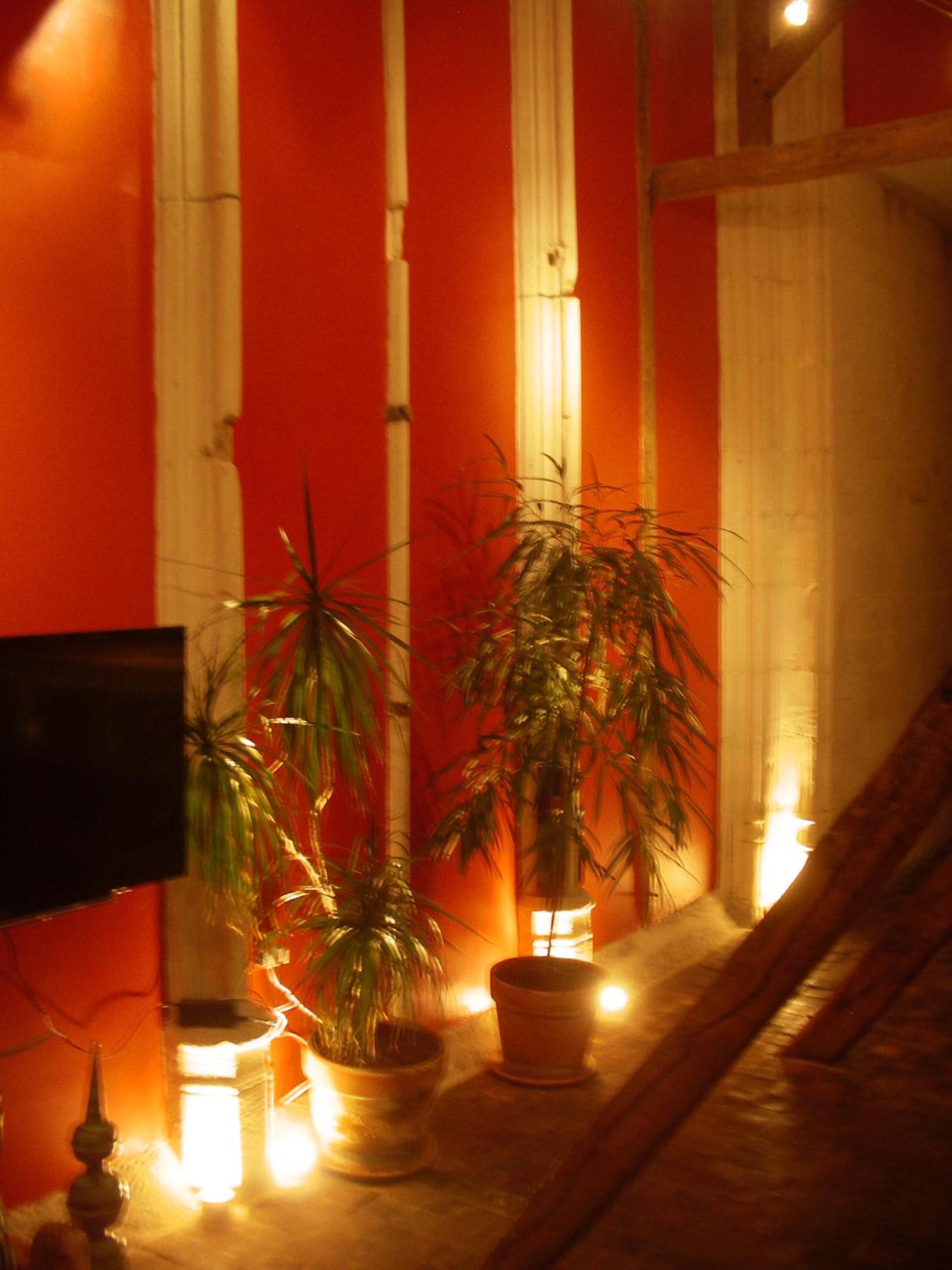 One-Bedroom Apartment - Grenier photo 2