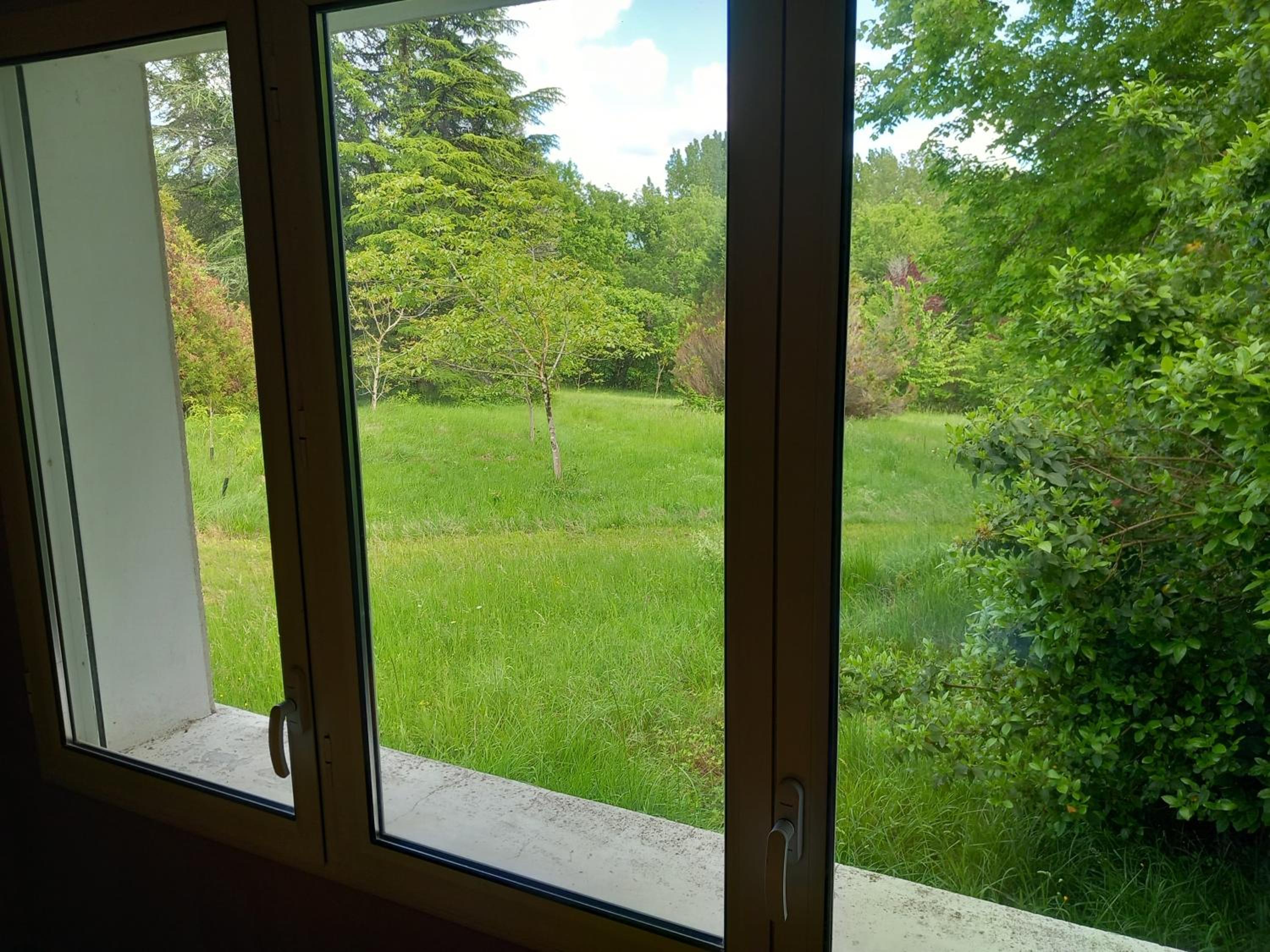 Studio with Garden View photo 1