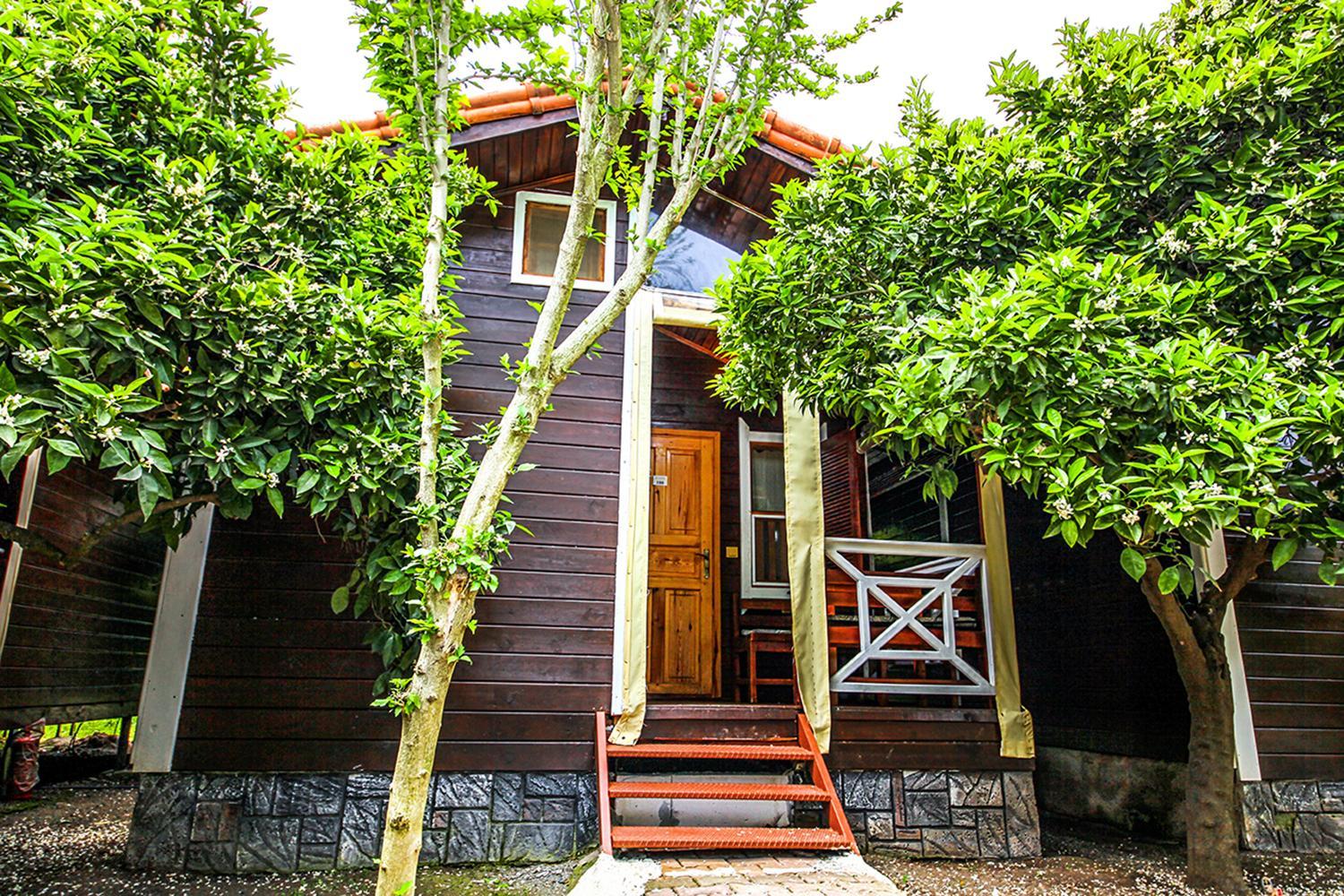 Standard Bungalow - Photo 2