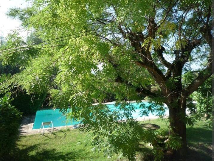 Apartment with Pool View  photo 2