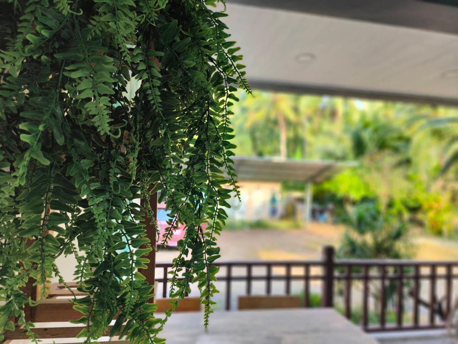Family Room with Garden View - Photo 6