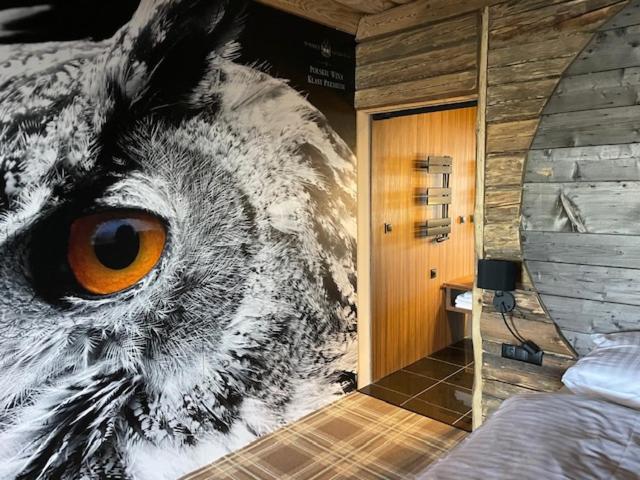 Suite with Lake View photo 1