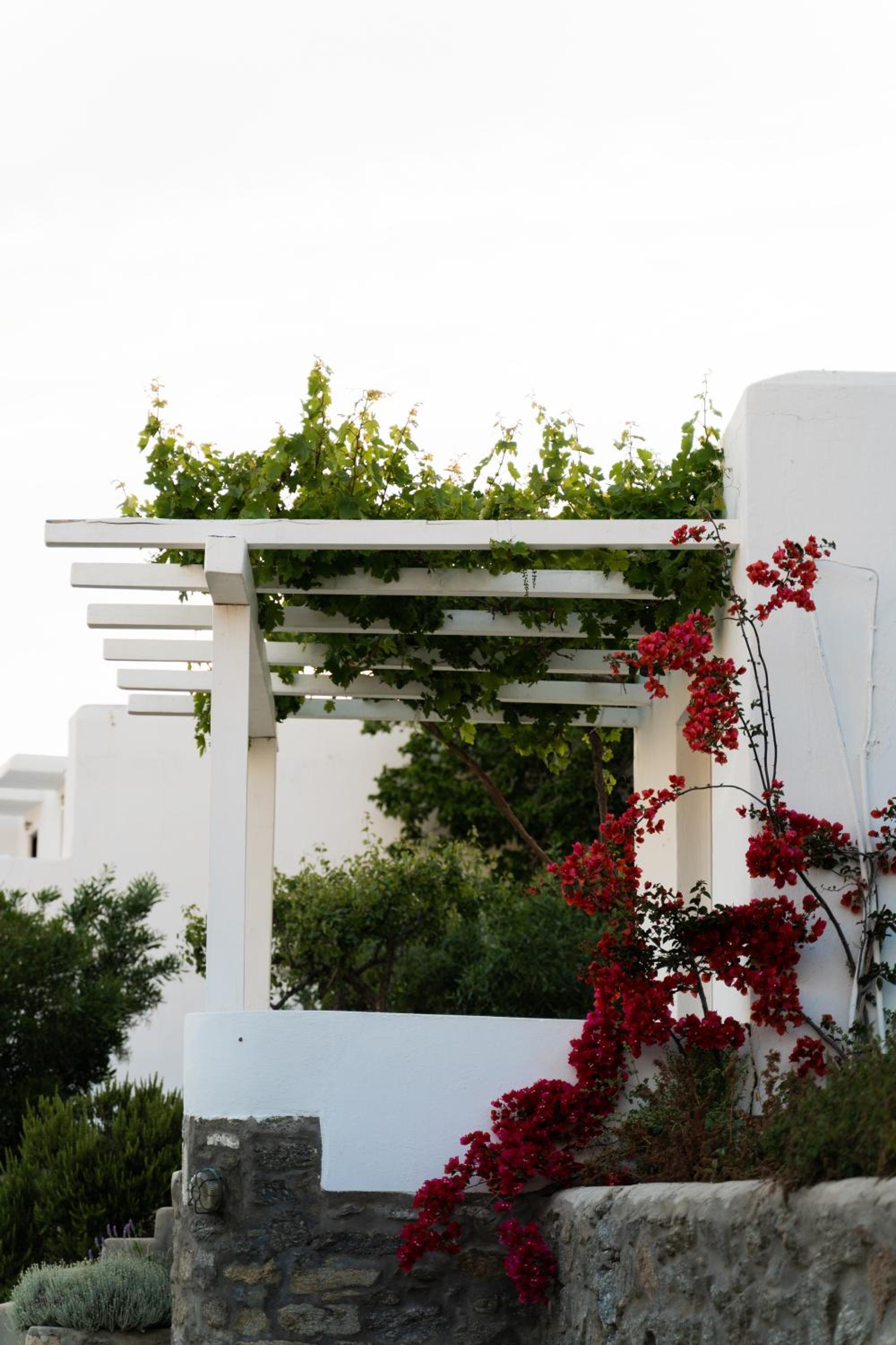Bungalow with Sea View photo 3