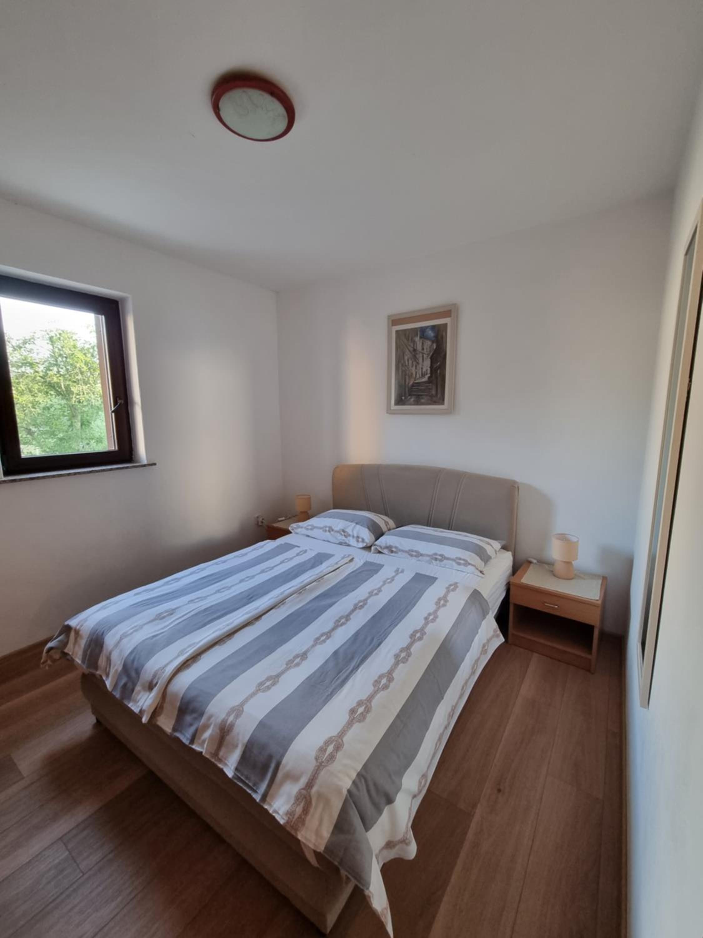 Apartment with Terrace photo 3