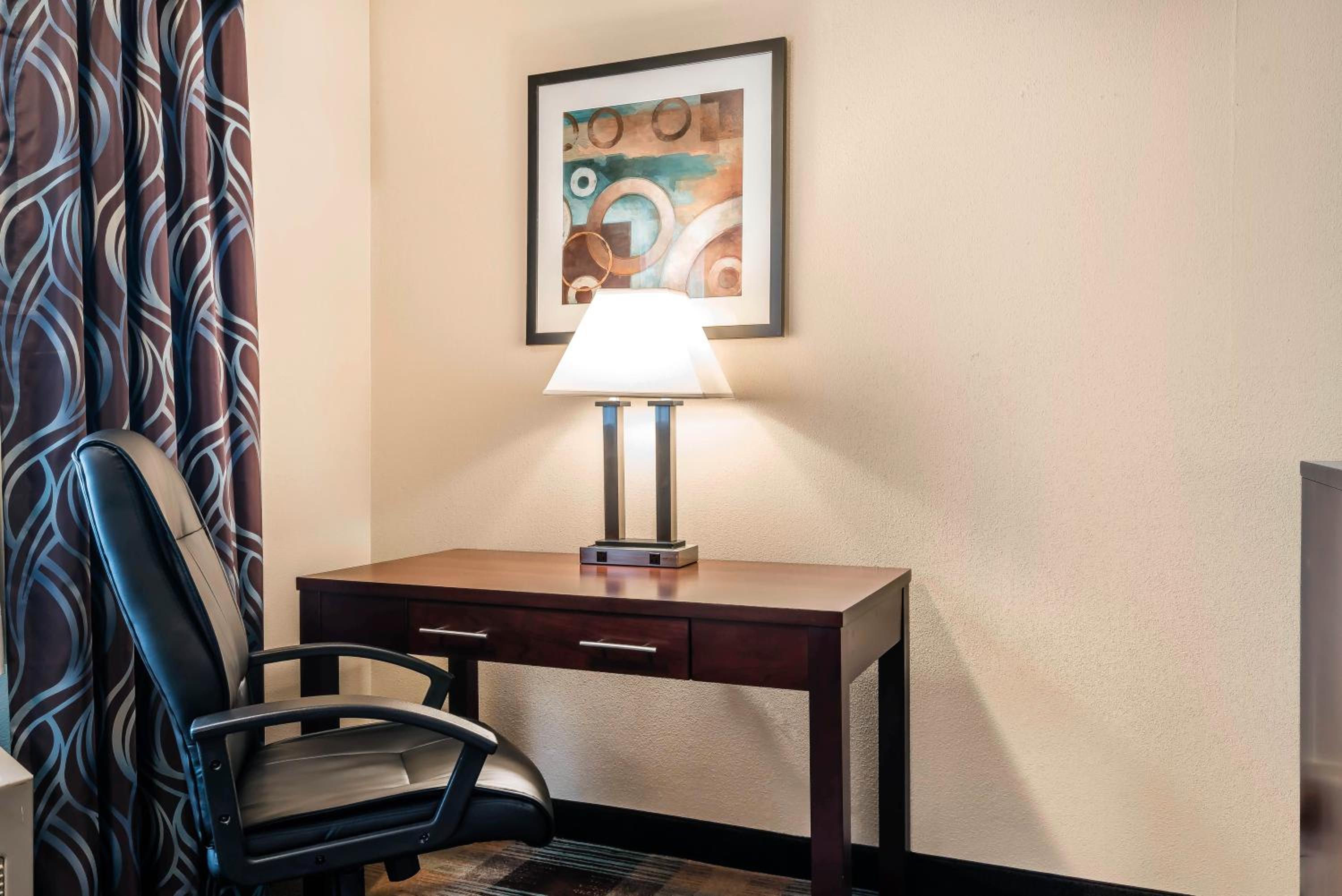 Single Room - Disability Access photo 1