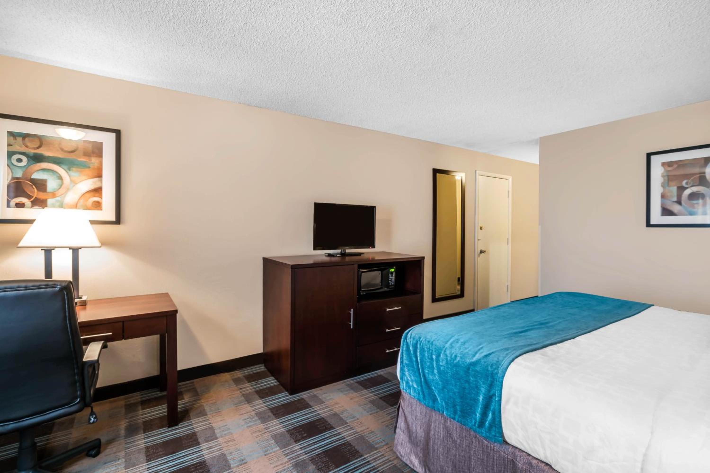 Single Room - Disability Access photo 2