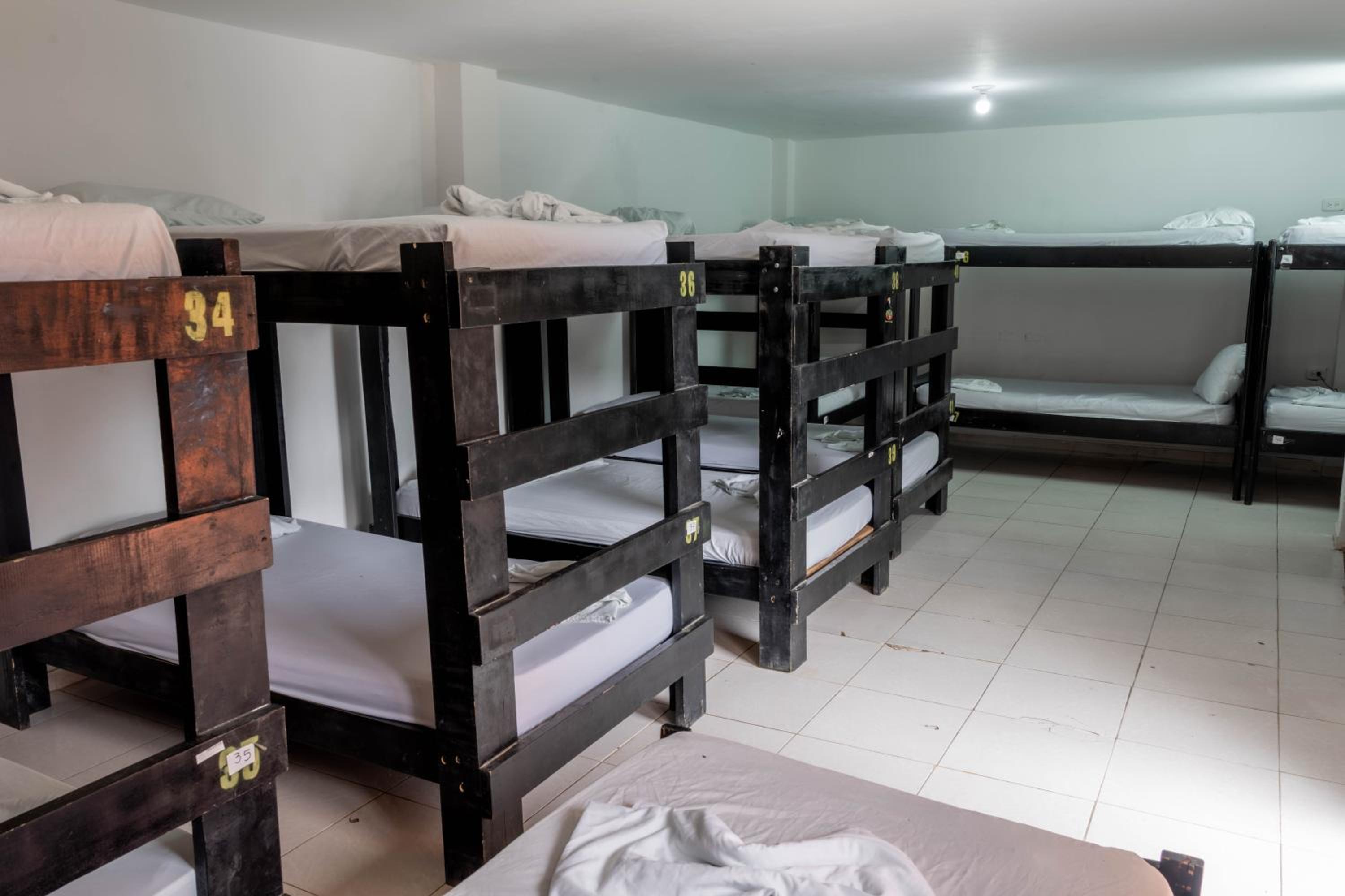 Single Bed in Mixed Dormitory Room 15 Beds photo 3