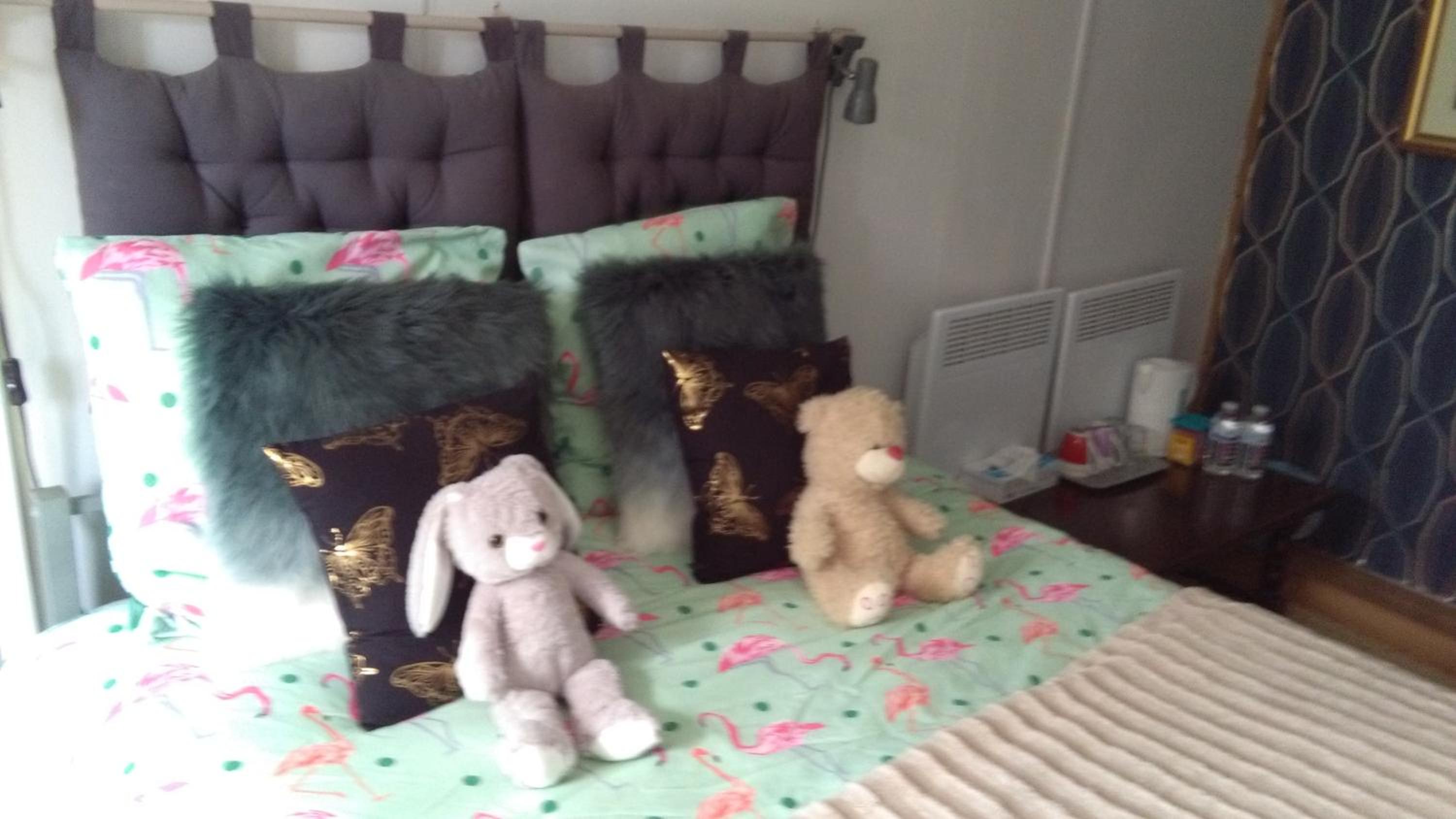 Double Room photo 1