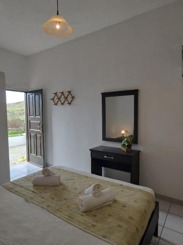 Double Room with Terrace photo 3