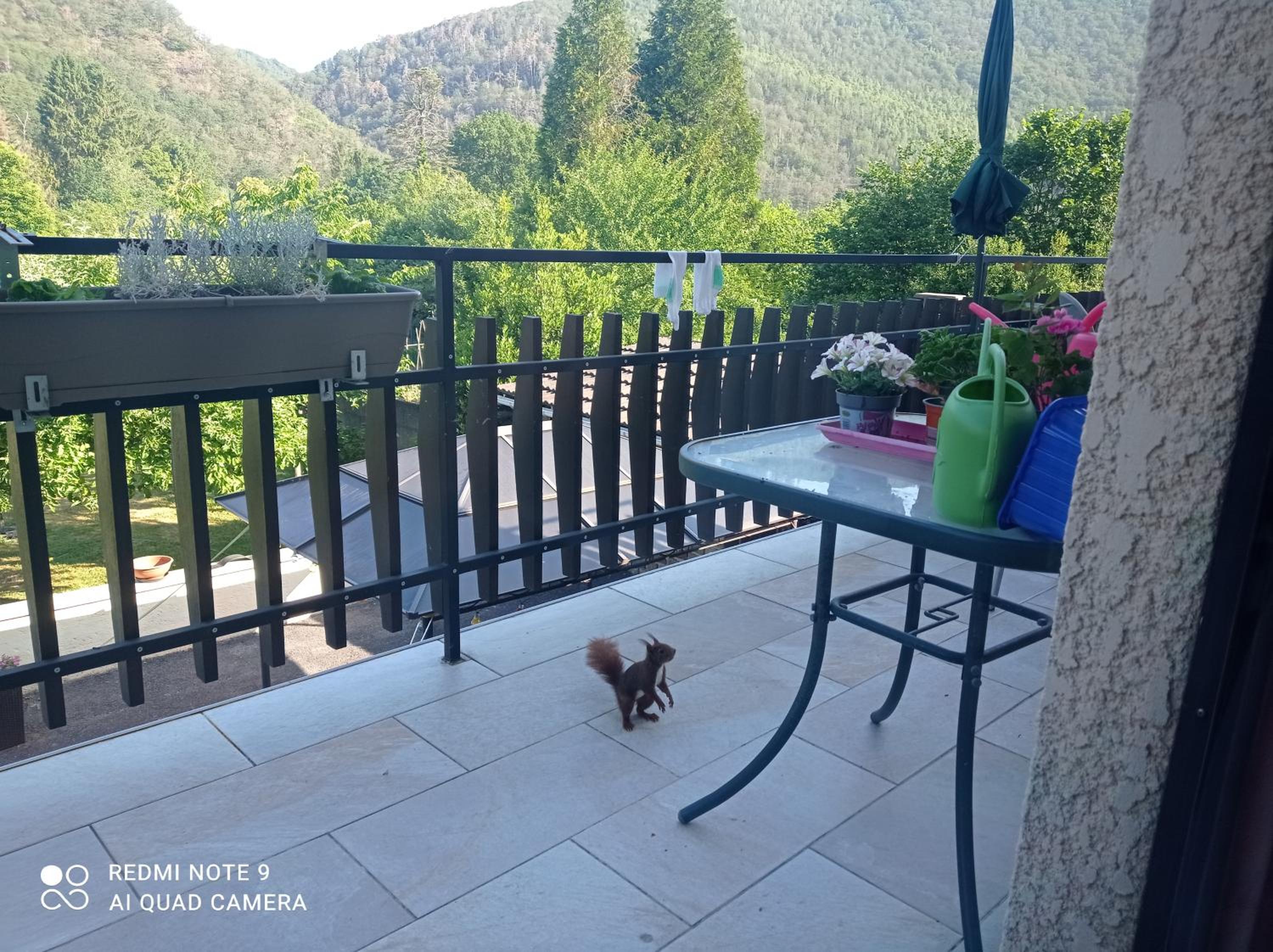 Deluxe Double Room with Balcony photo 1