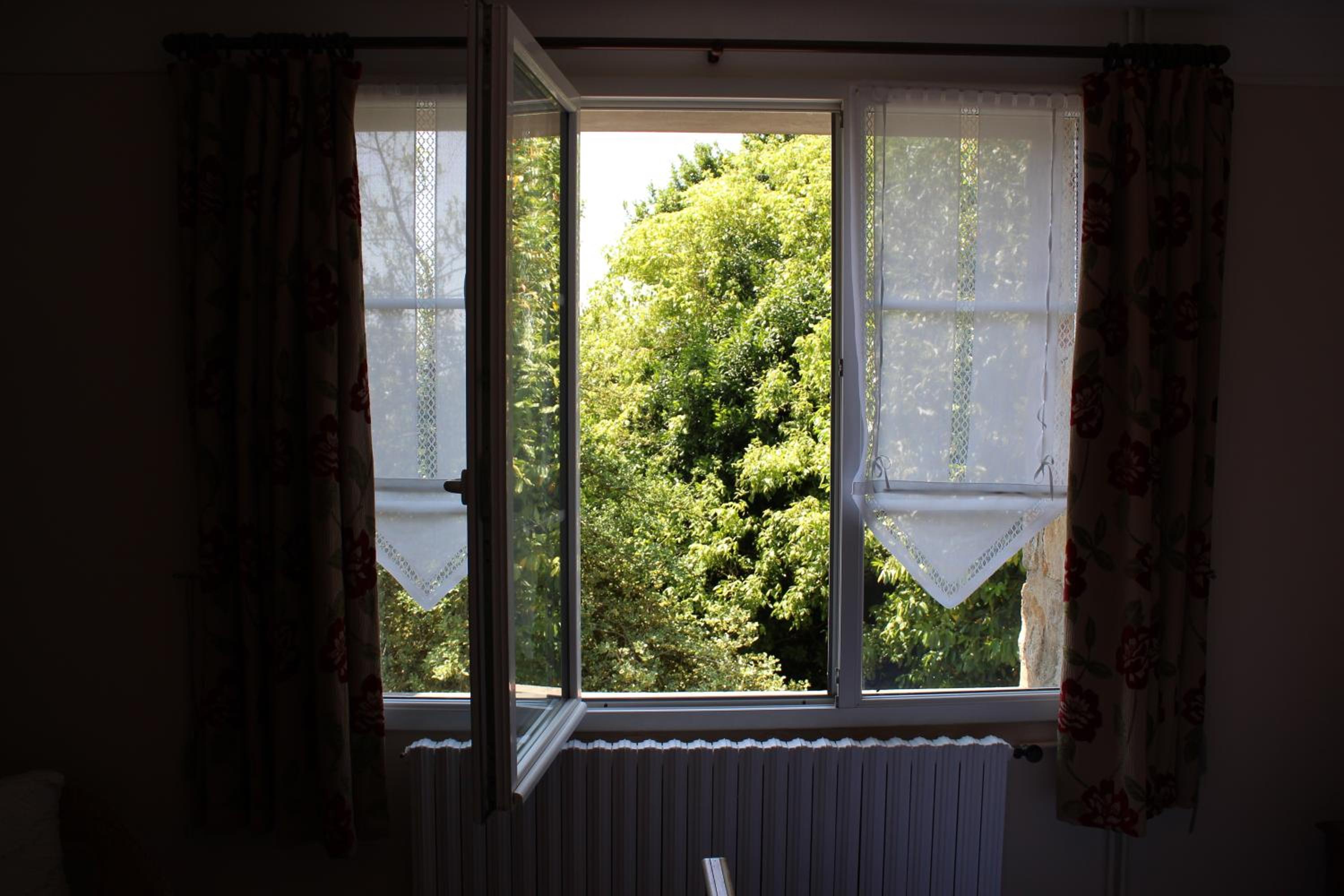 Deluxe Double Room with Shower photo 3
