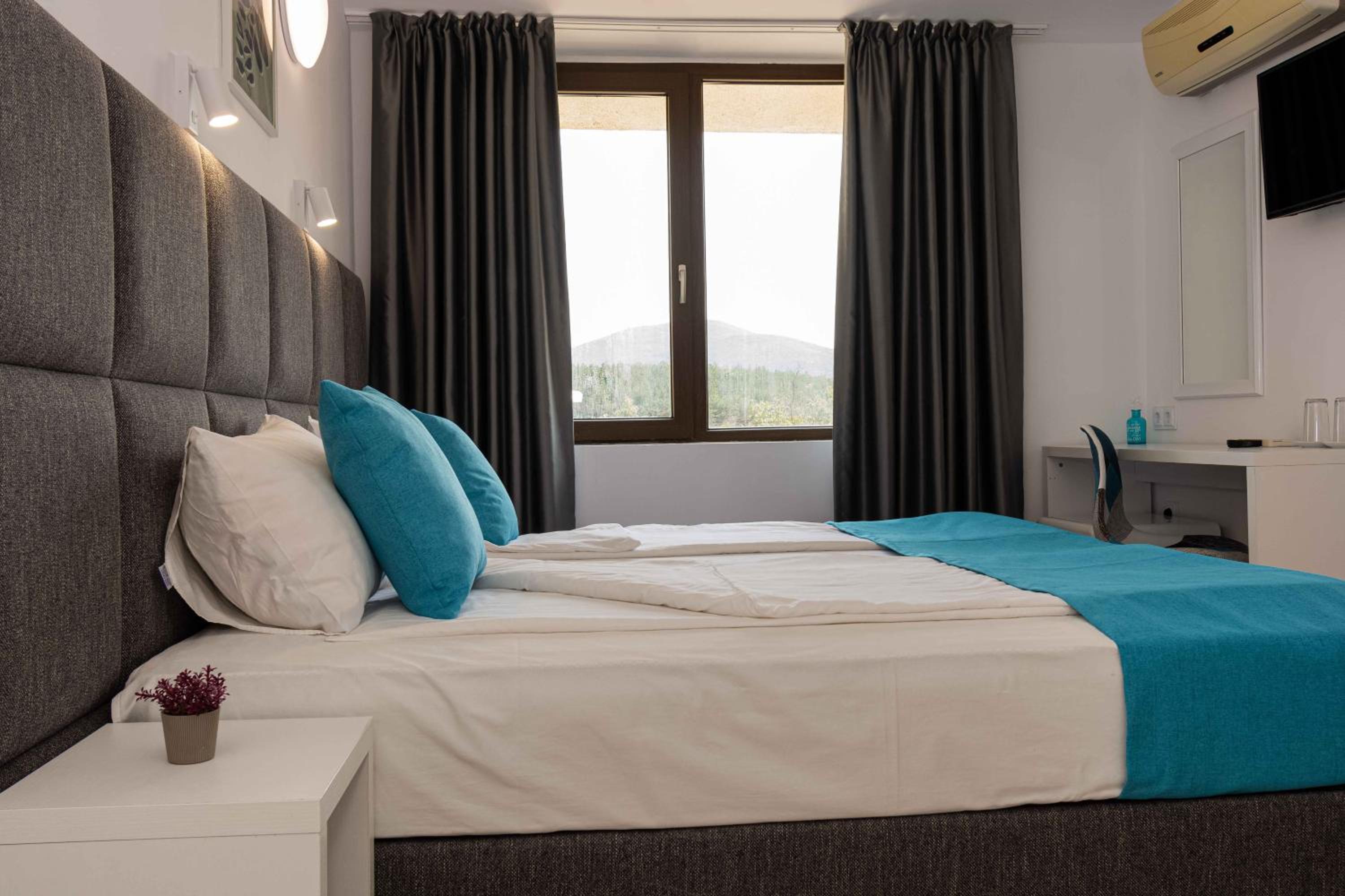 Deluxe Twin Room photo 3