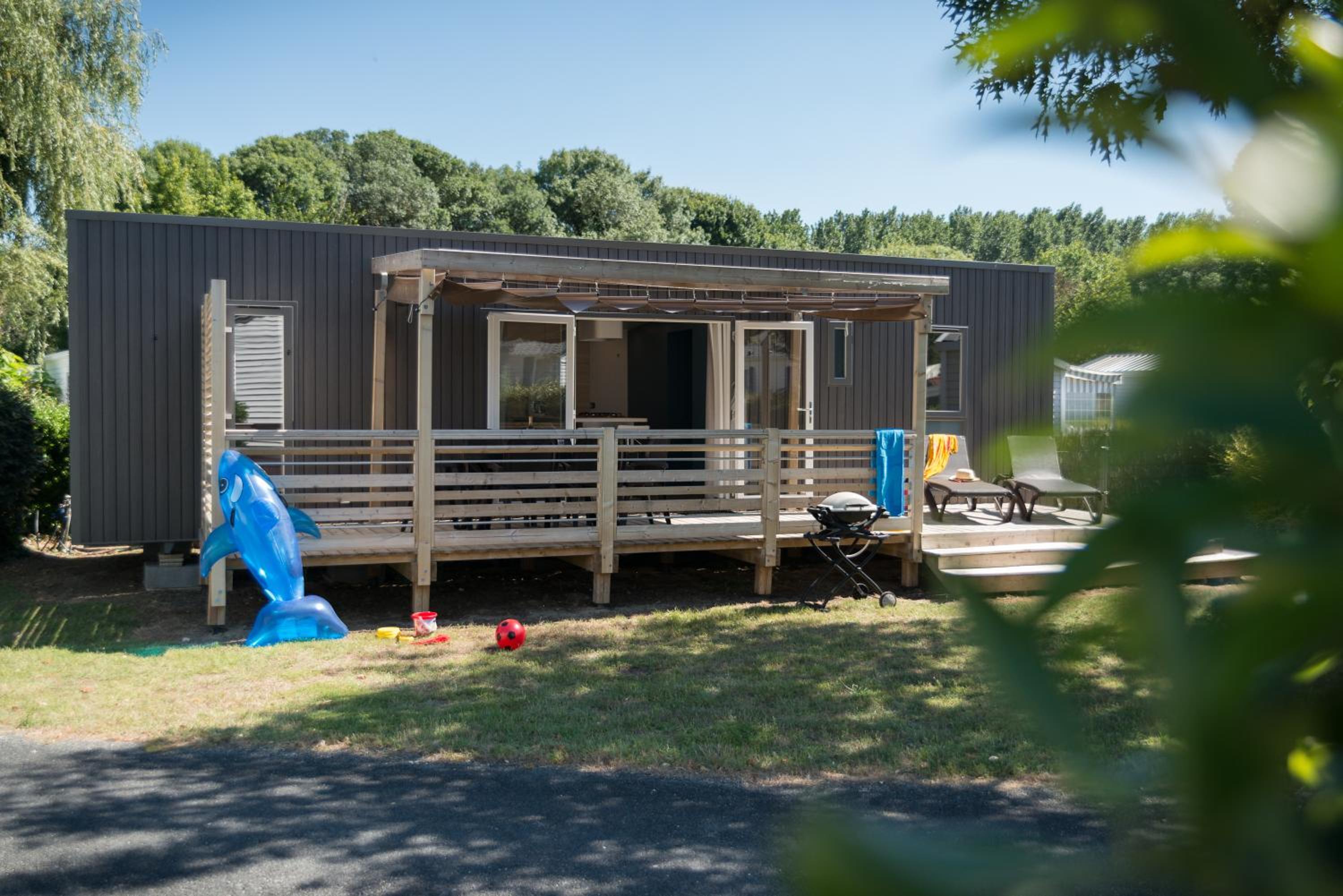 Mobile Home photo 3
