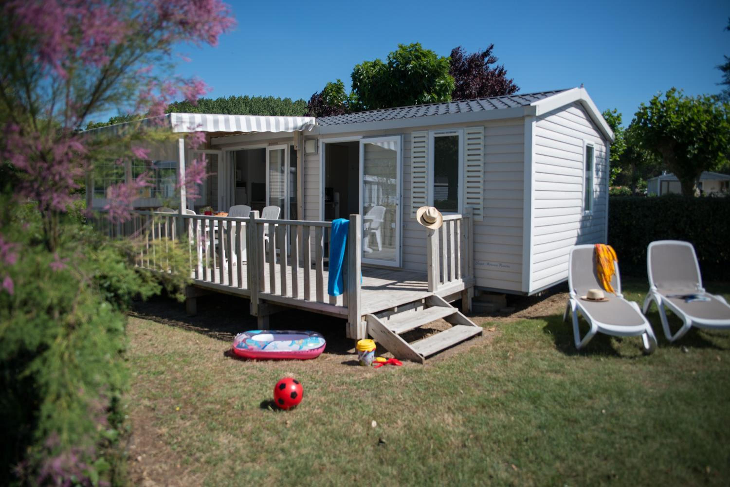 Mobile Home photo 2