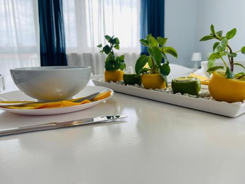 Quadruple Room with Private Bathroom