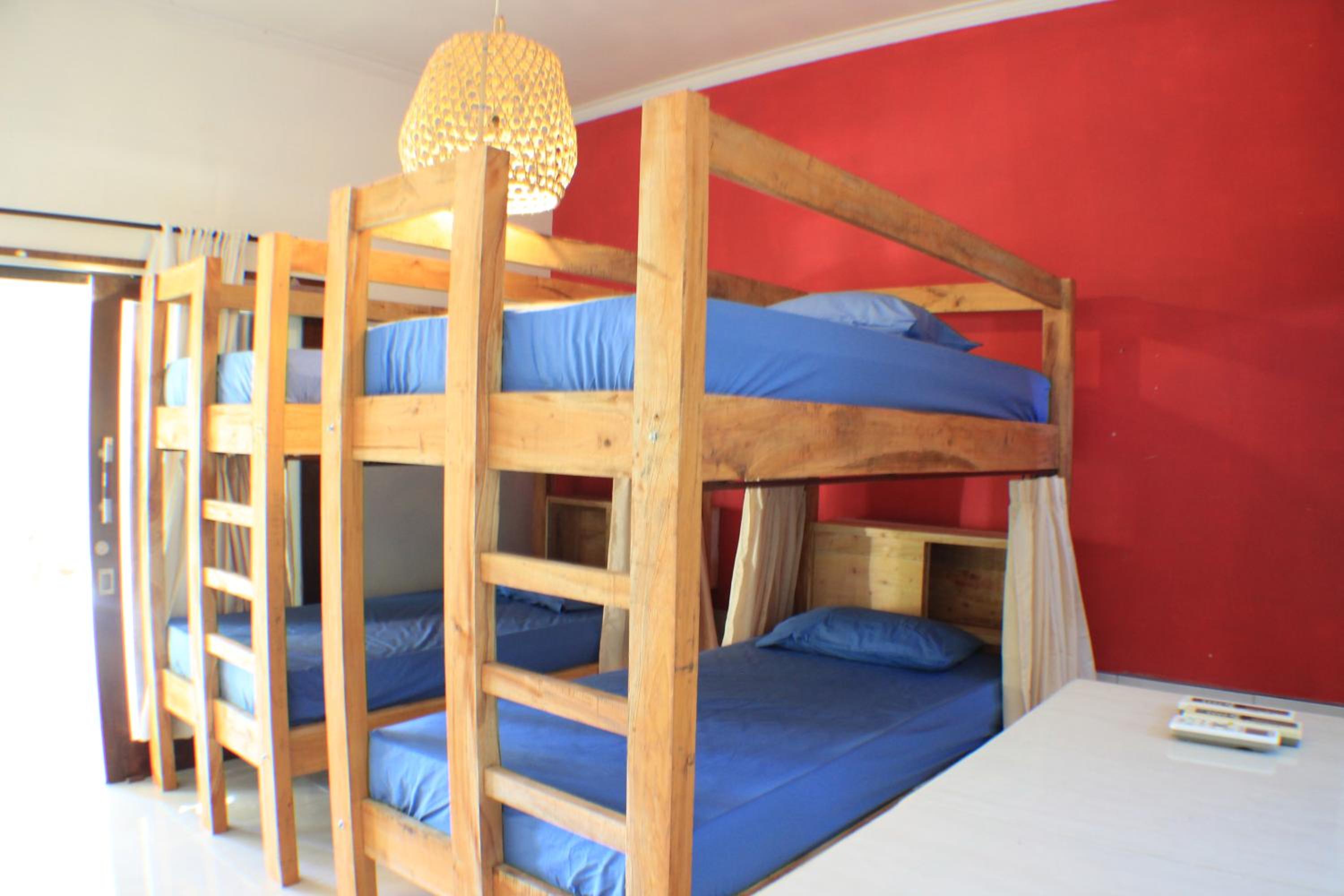 Single Bed in 4-Bed Dormitory Room photo 1