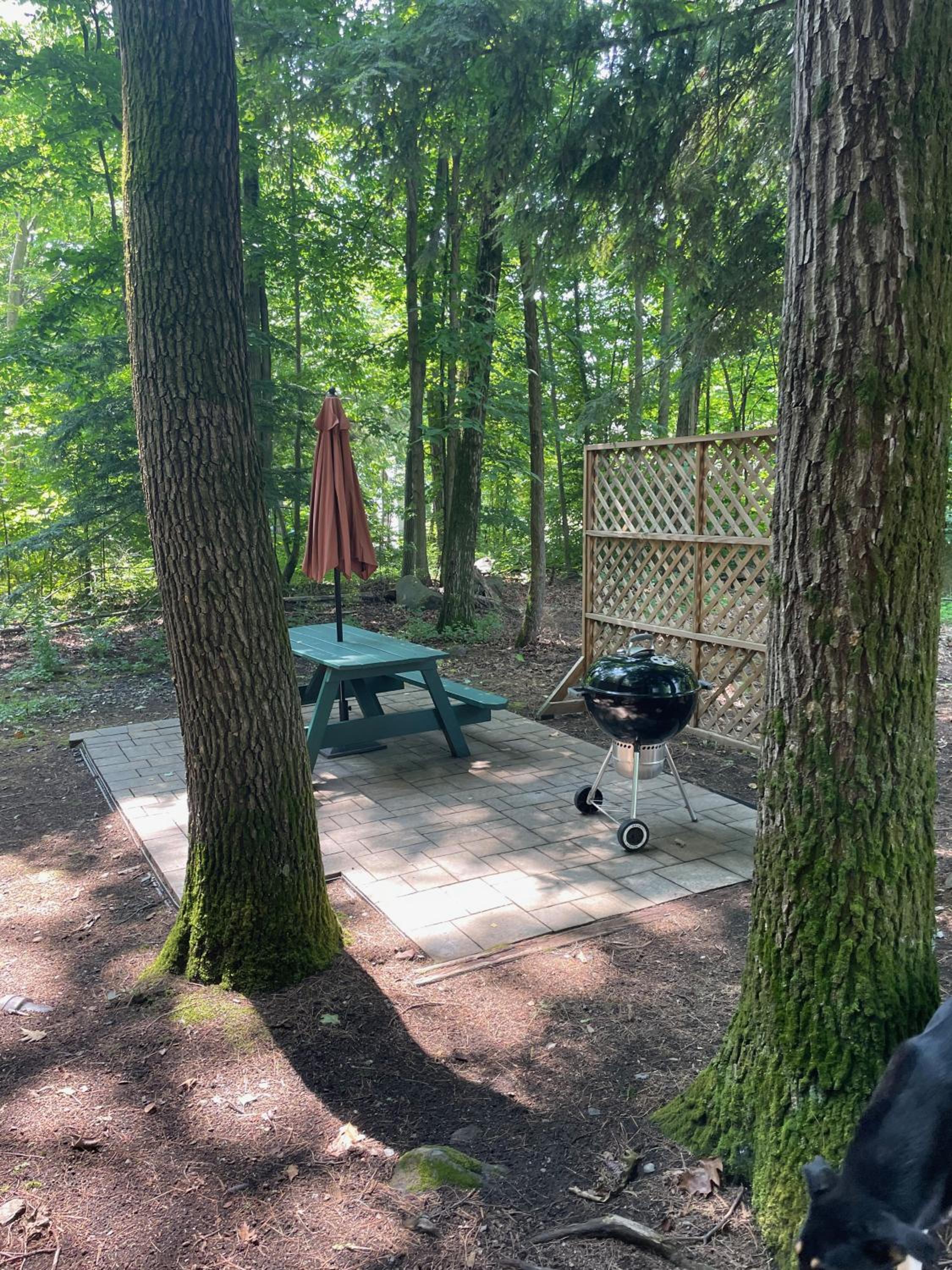 Studio with Terrace photo 2