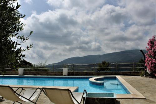 Double Room with Patio photo 3