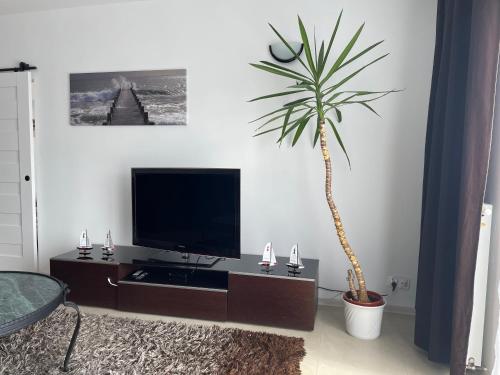 Apartment with Sea View - Photo 20