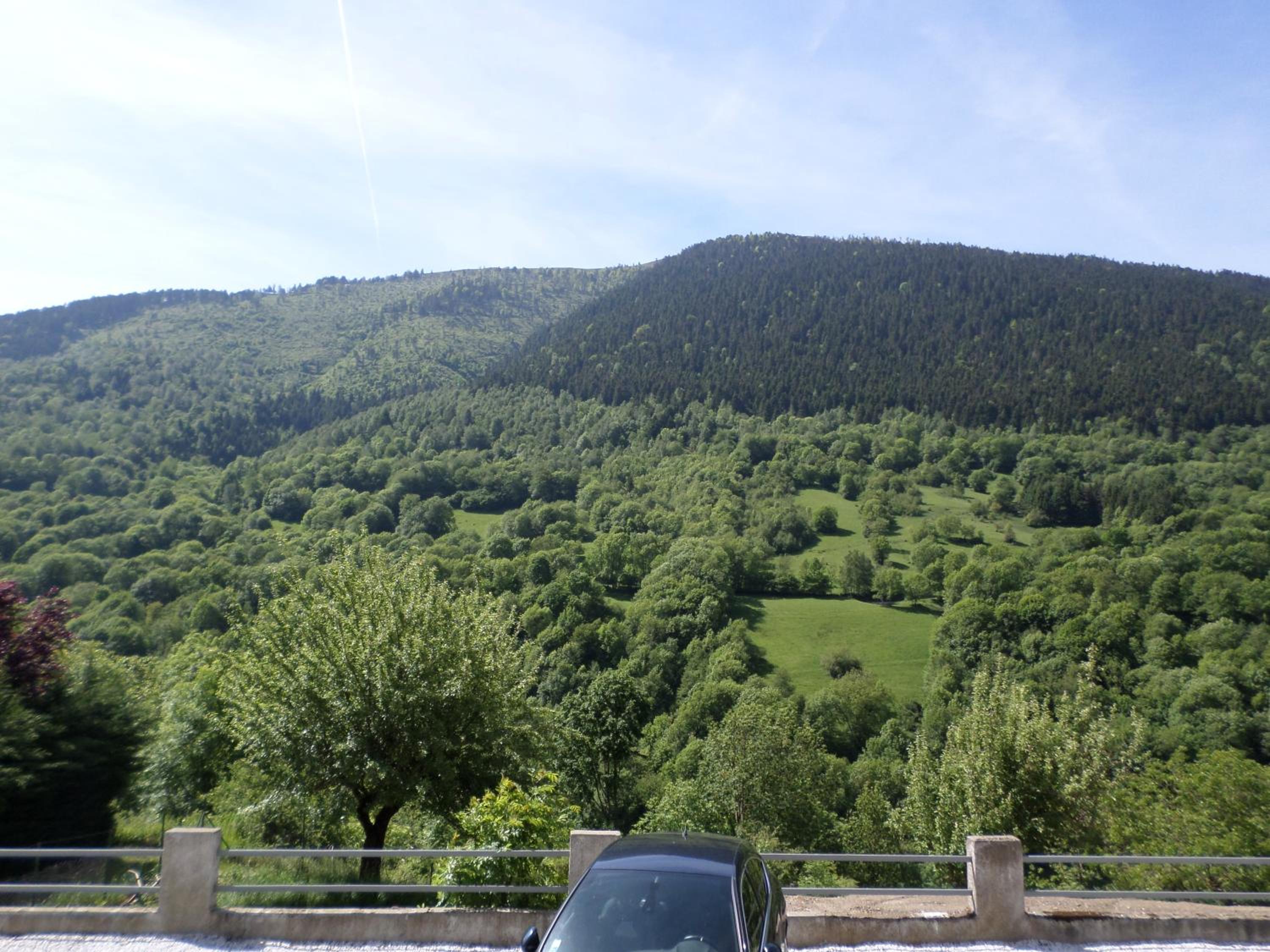 Apartment with Mountain View photo 2