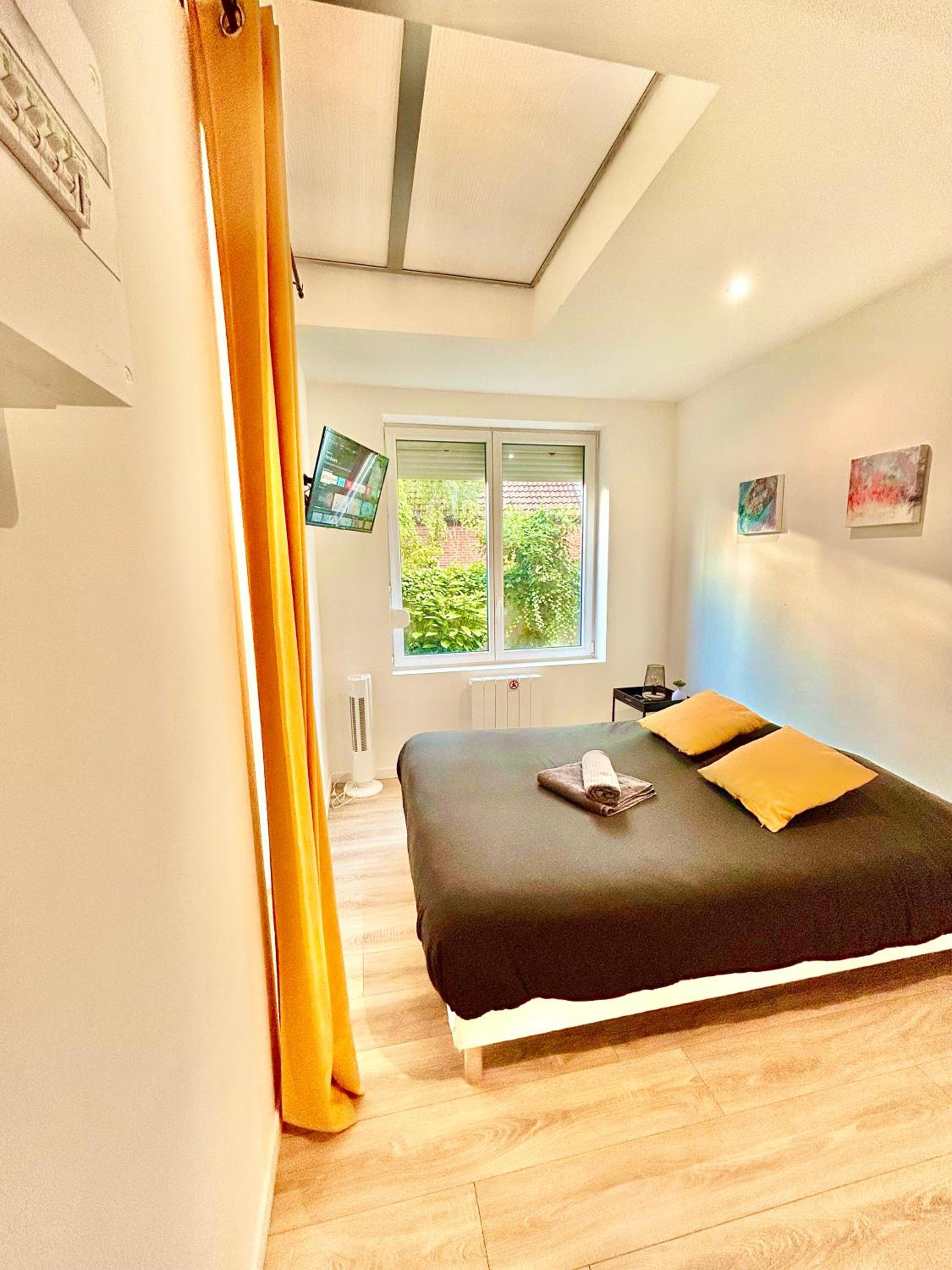 Deluxe Studio - Photo 15