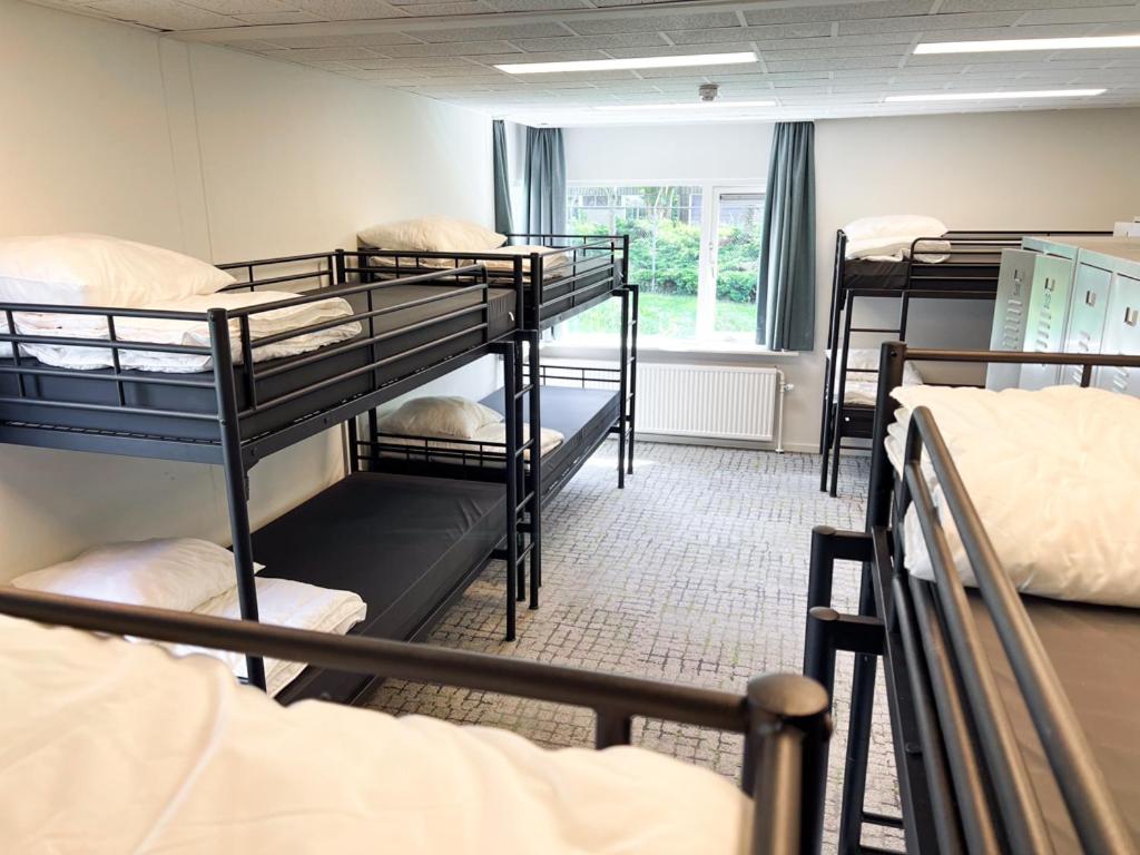 Mixed Dormitory Room photo 1