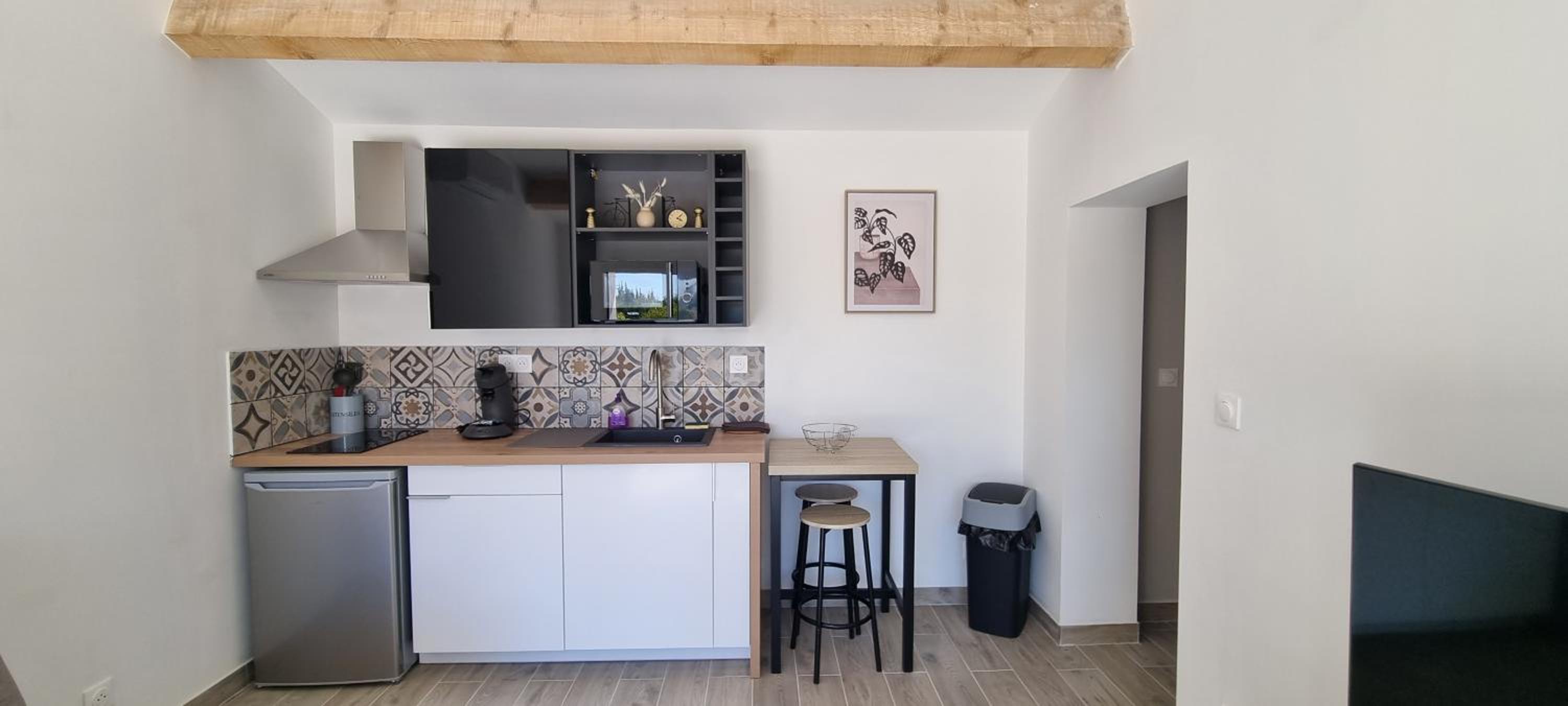 Studio with Terrace - Photo 4
