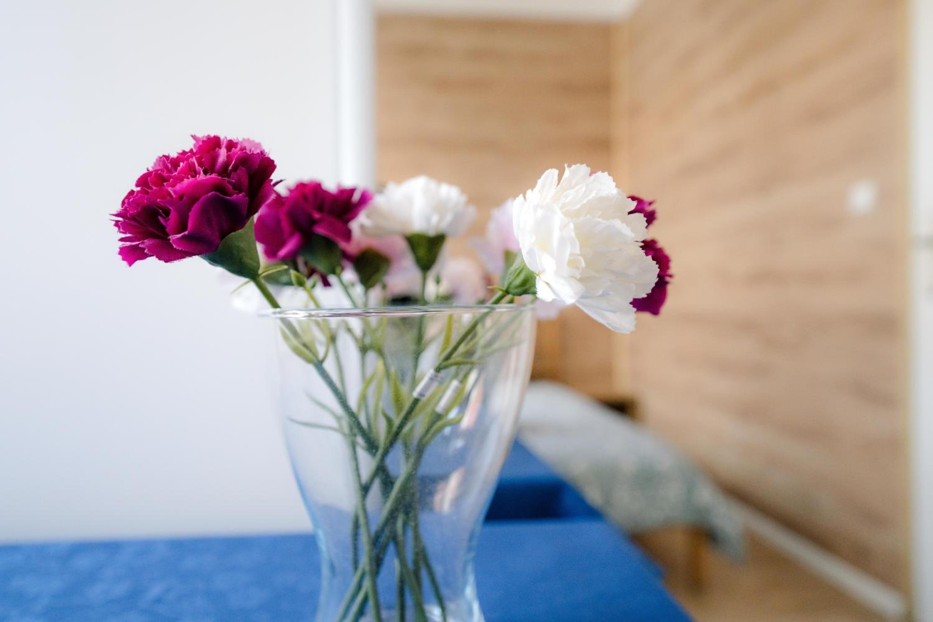 One-Bedroom Apartment - Photo 35