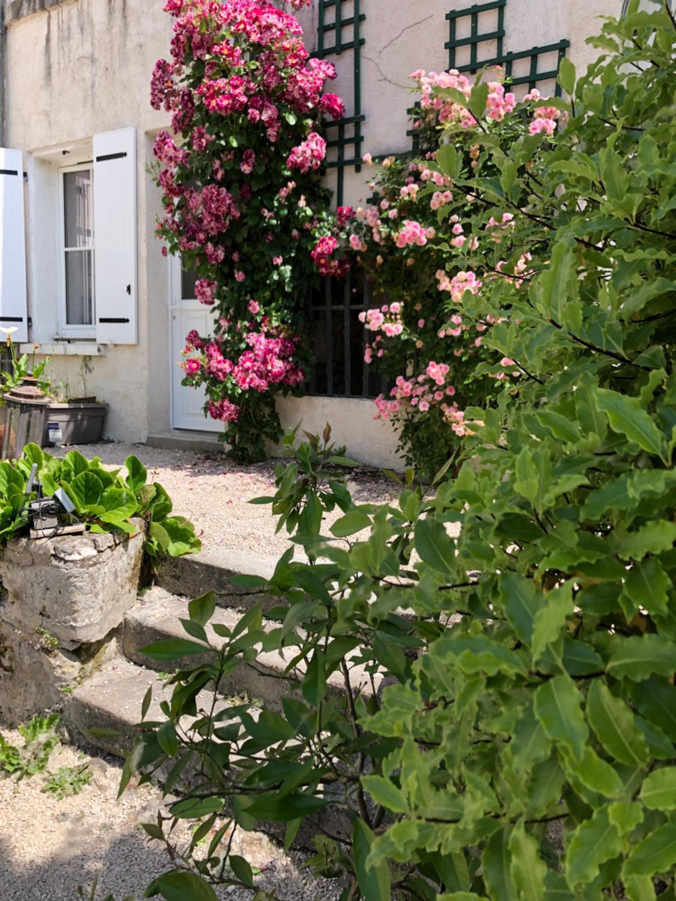 Suite with Garden View photo 2