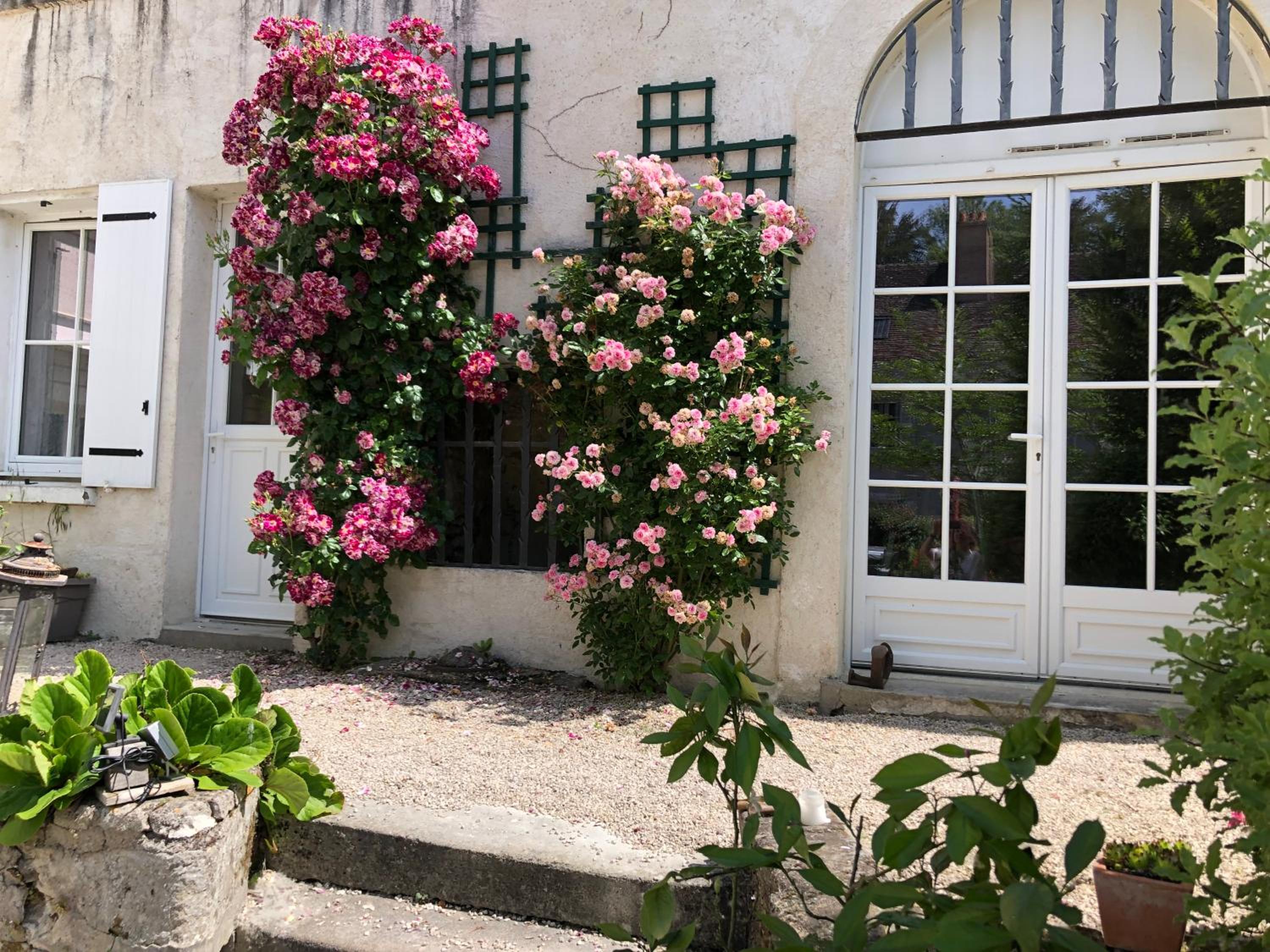 Double Room with Garden View photo 2