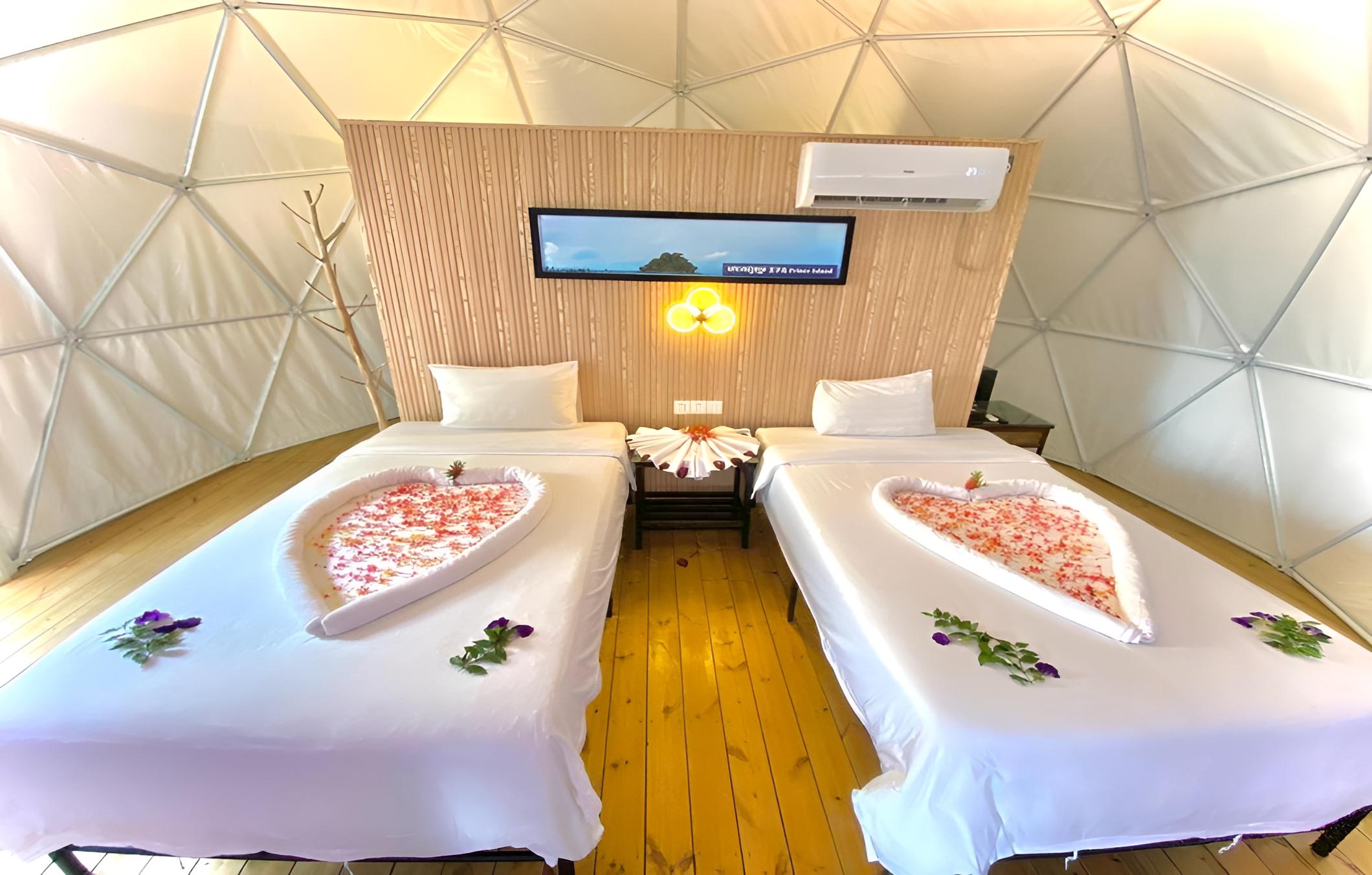 Twin Room photo 1