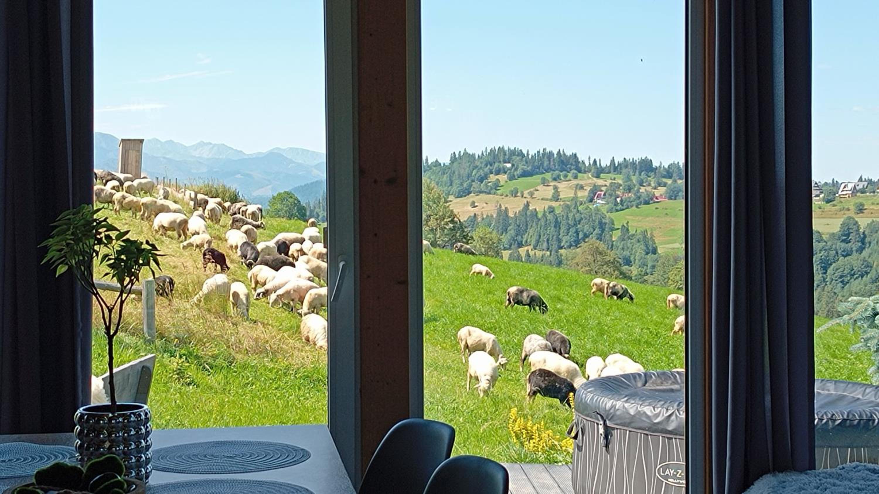 Three-Bedroom Chalet photo 1
