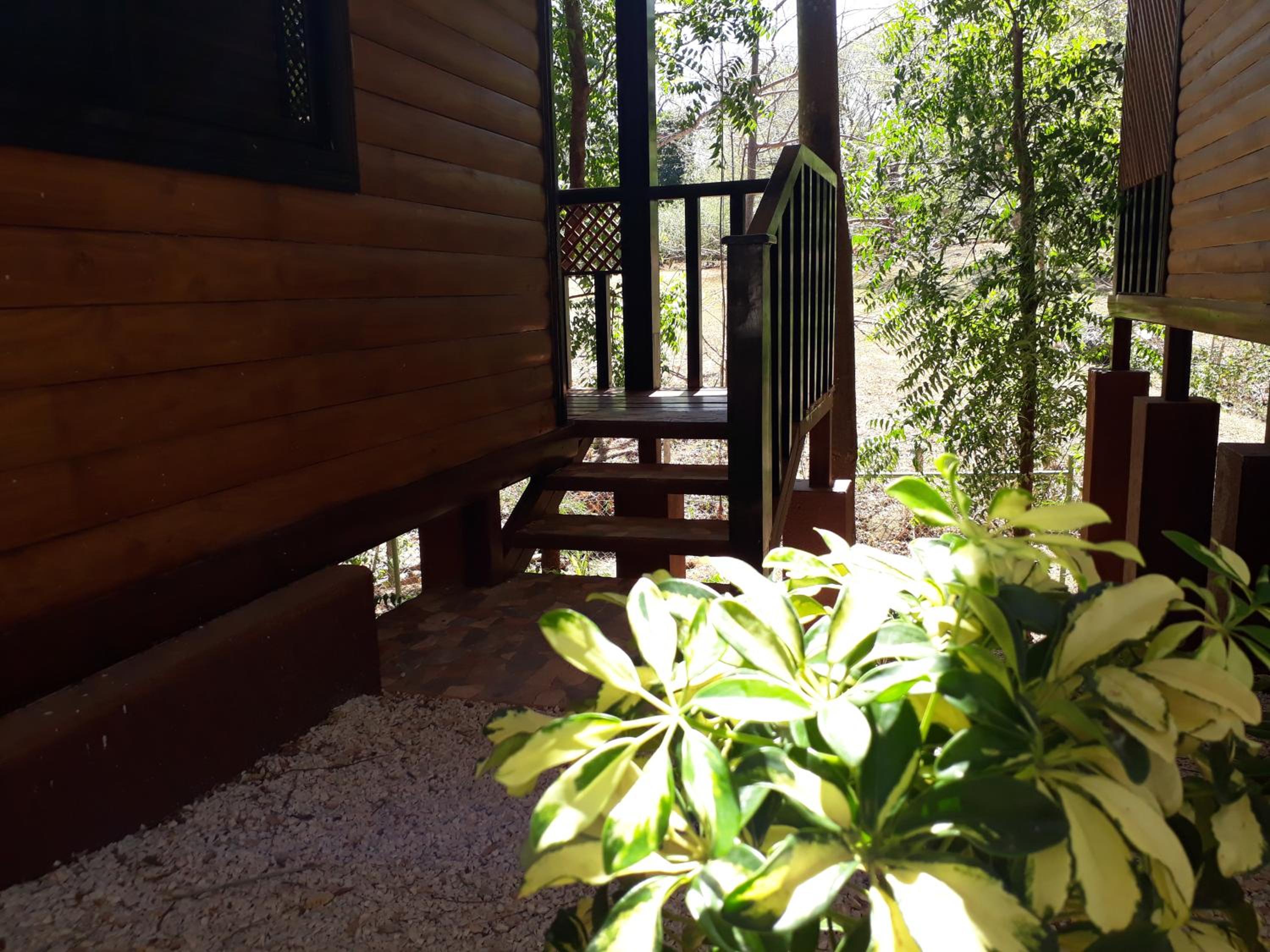 One-Bedroom Bungalow photo 3