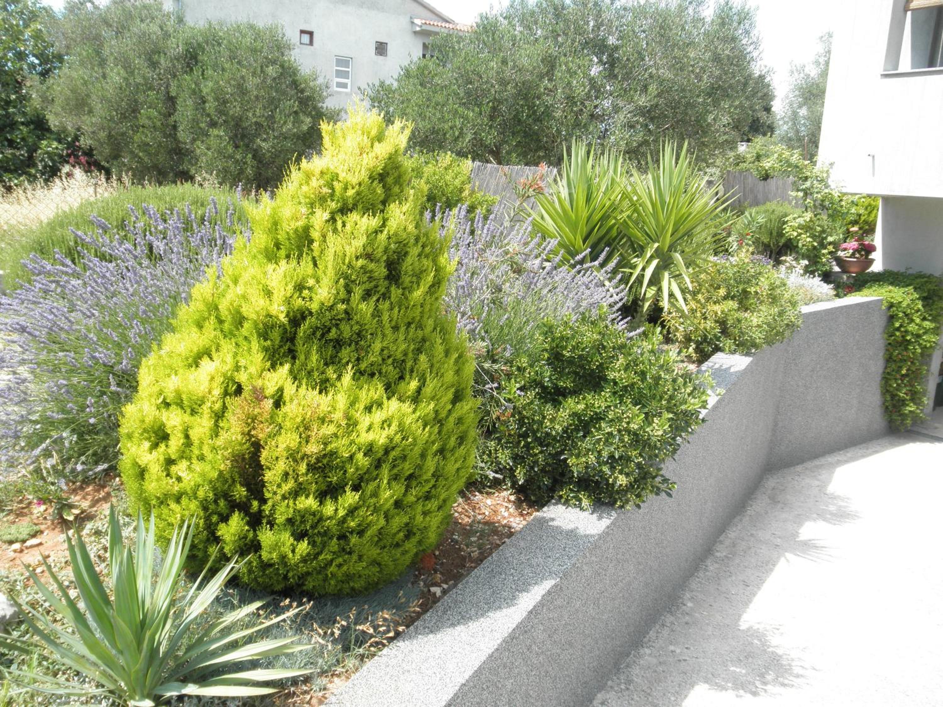 Apartment with Balcony - Photo 18