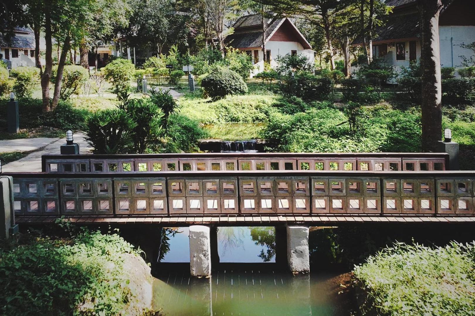 Double Room with Garden View photo 2