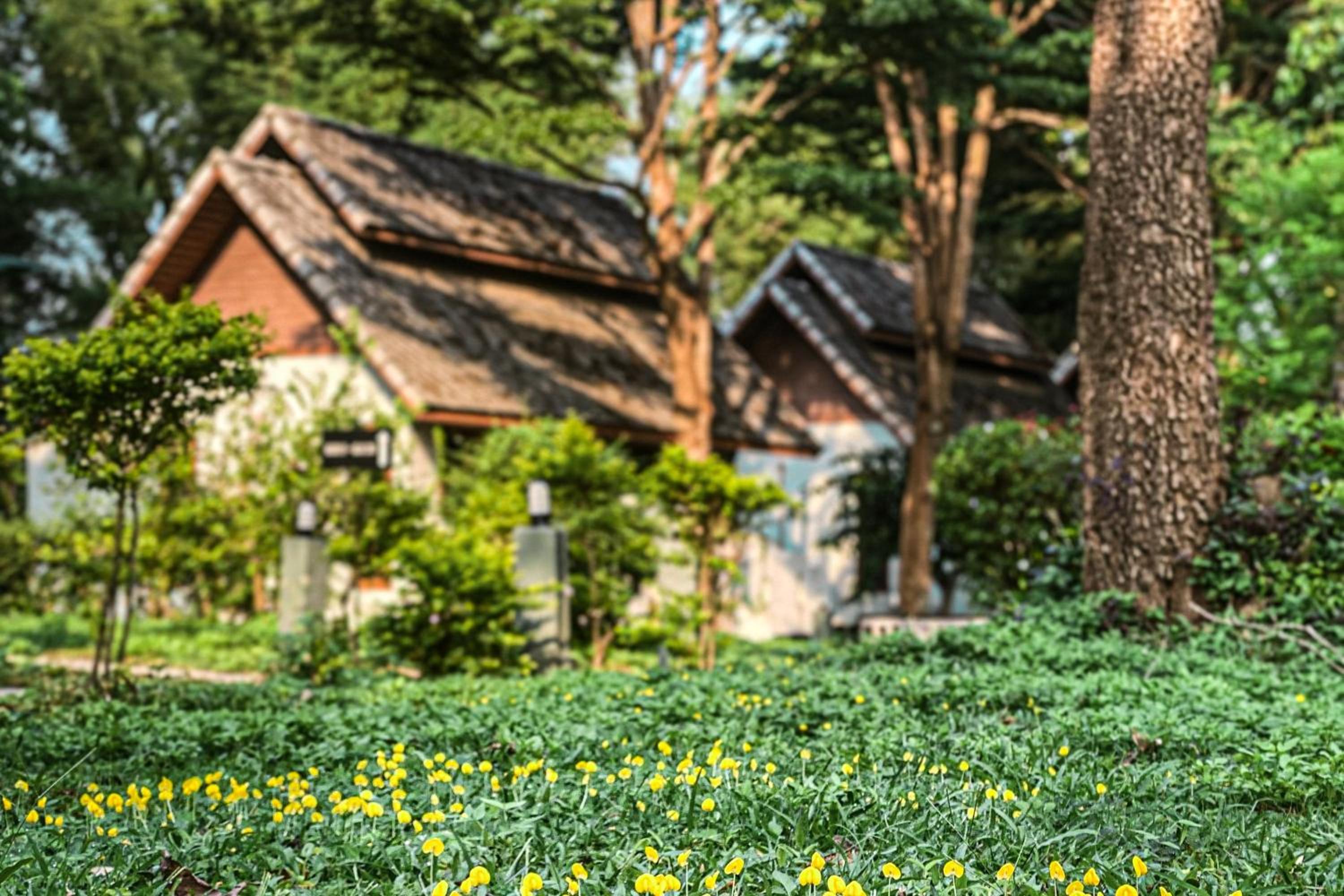 Double Room with Garden View