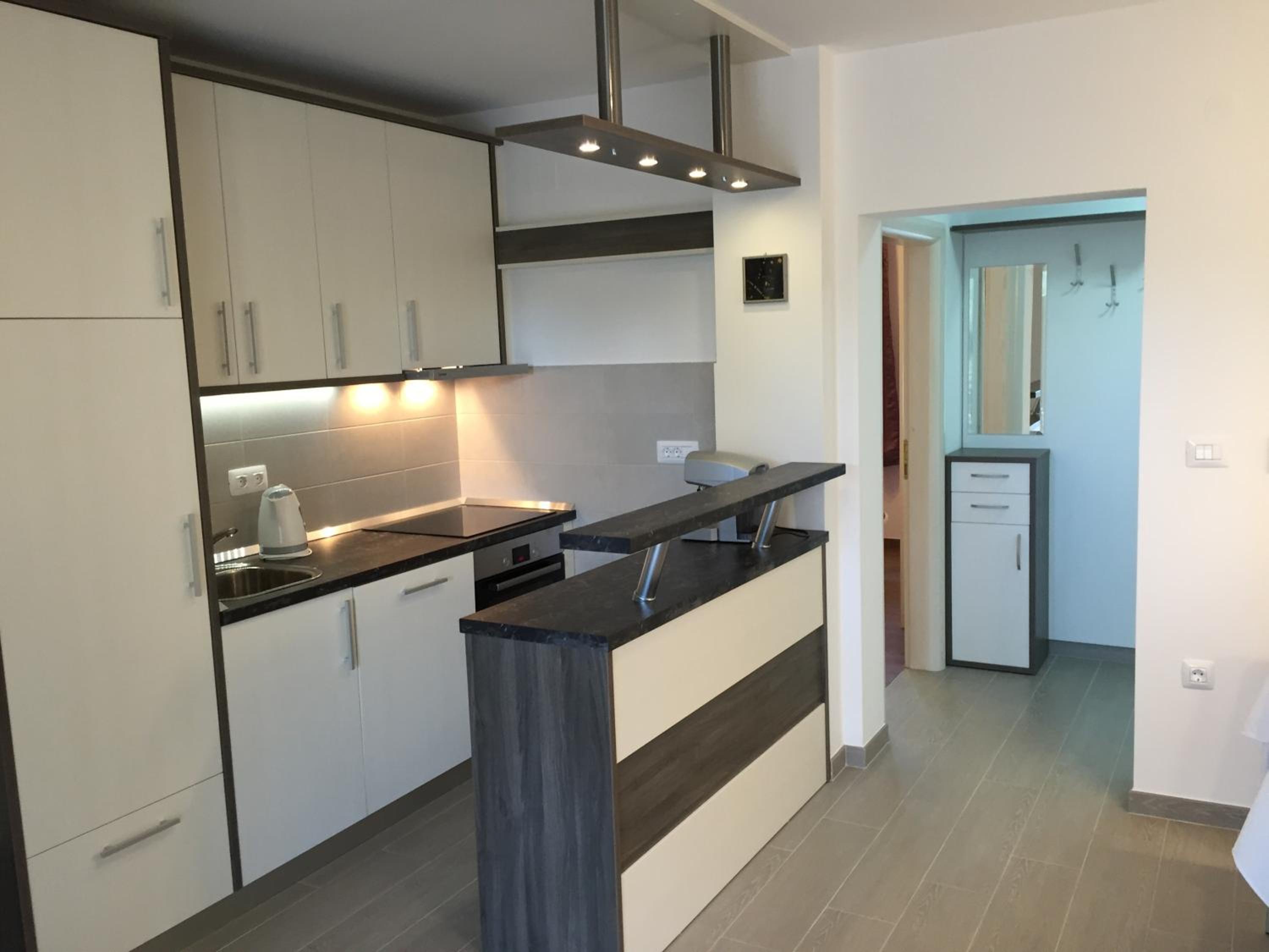 Standard One-Bedroom Apartment photo 2