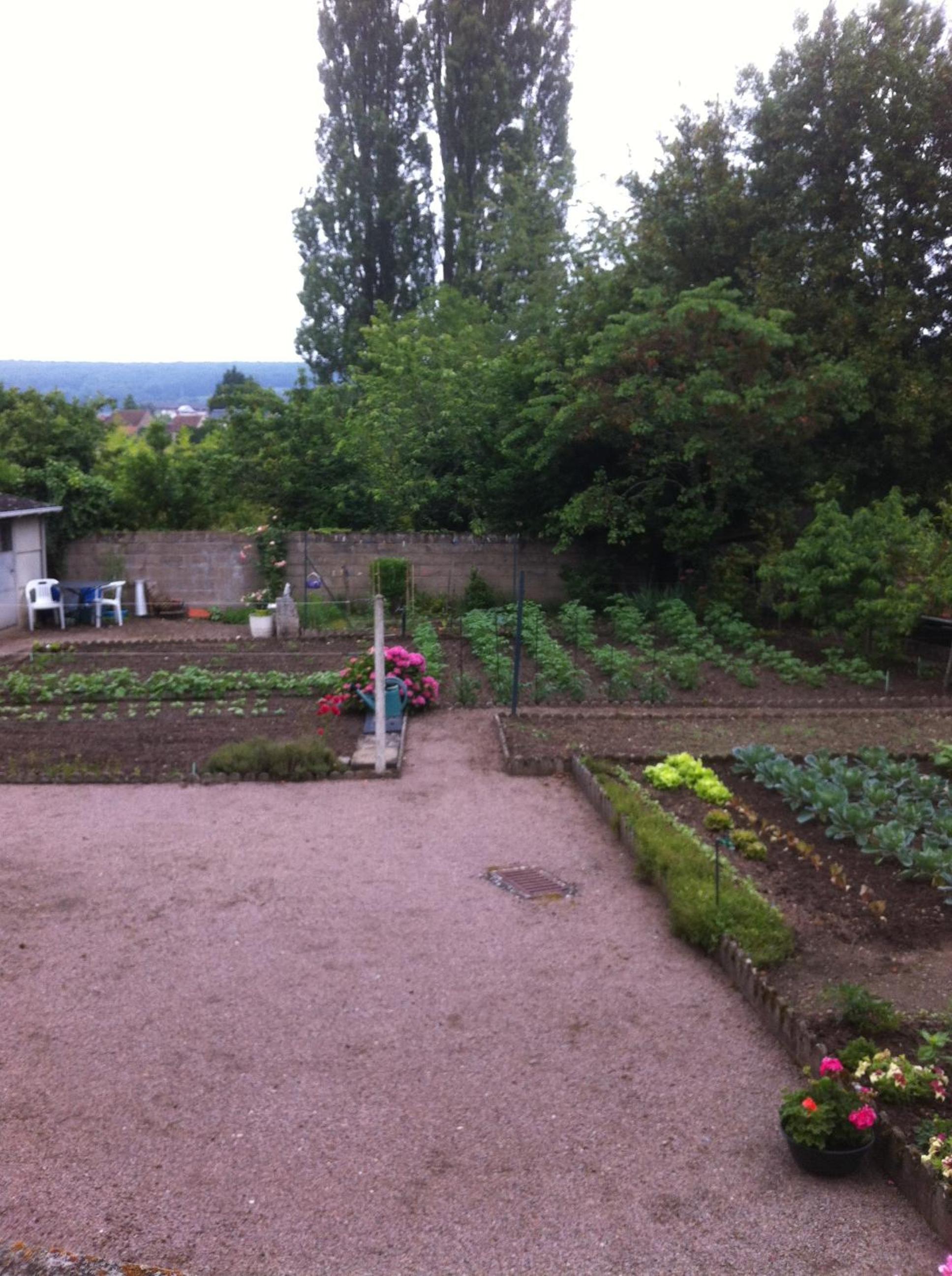 Apartment with Garden View photo 1
