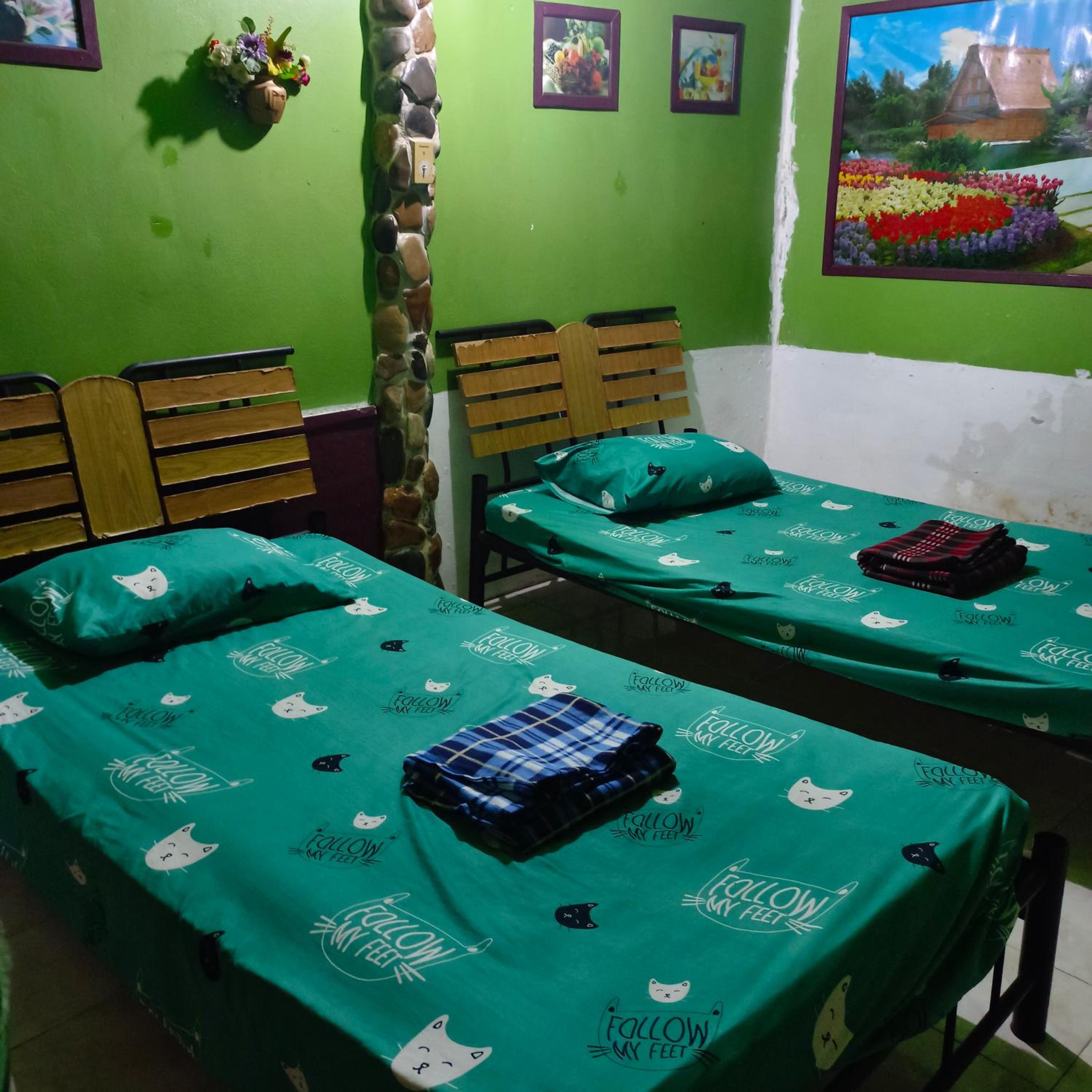 Budget Twin Room photo 1