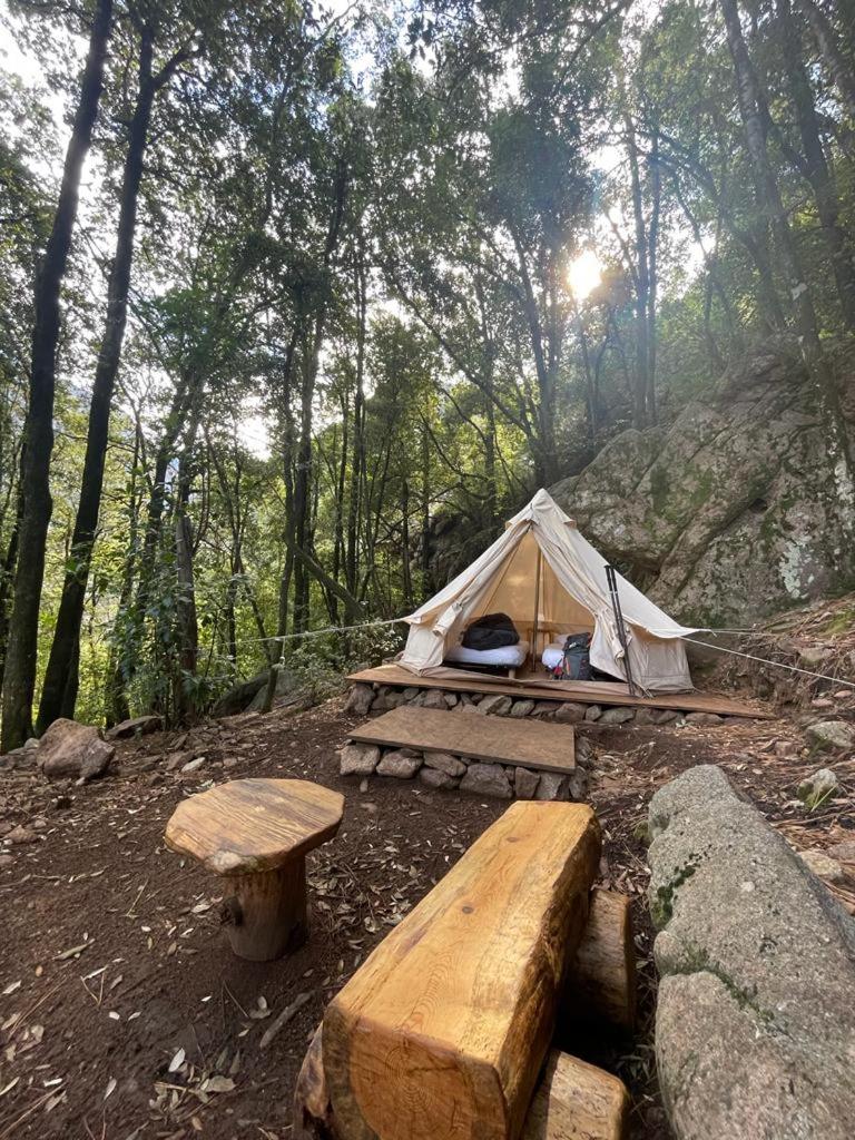 Tent photo 2